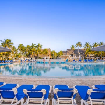 a pool with lounge chairs and palm trees