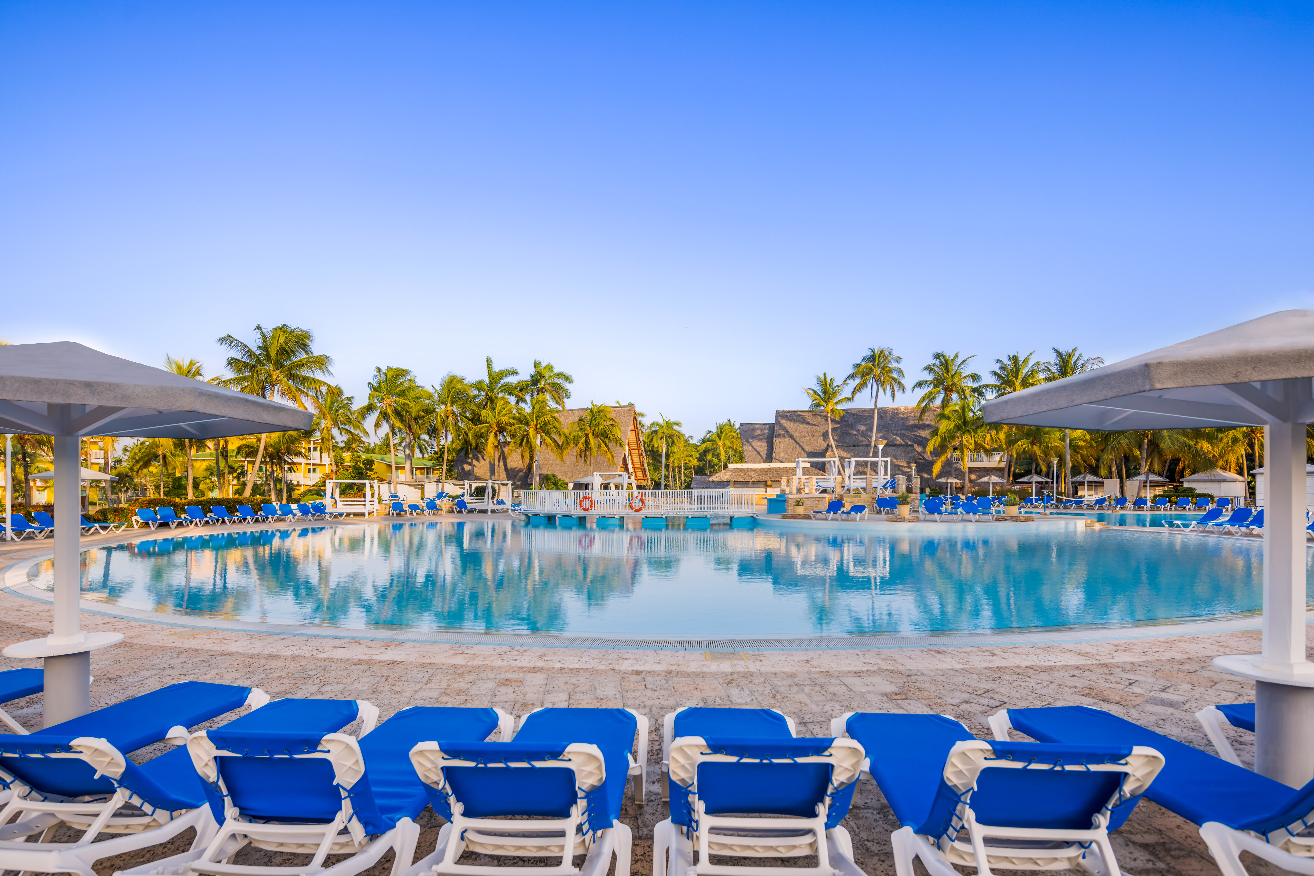 a pool with lounge chairs and palm trees