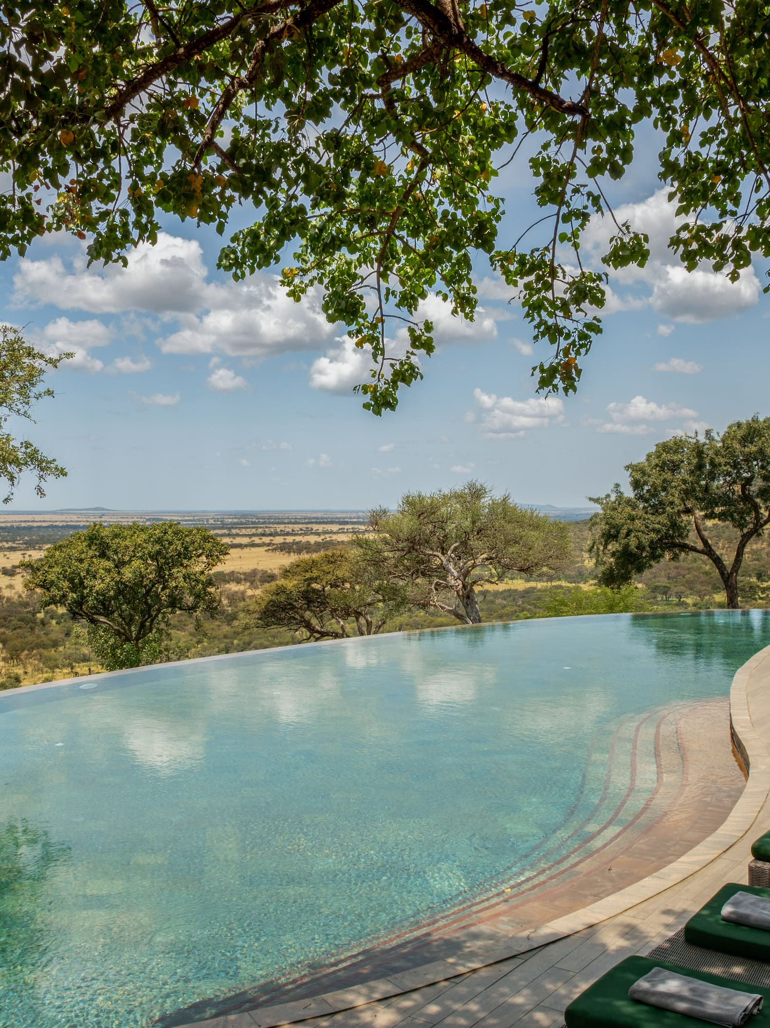 a pool with lounge chairs and trees