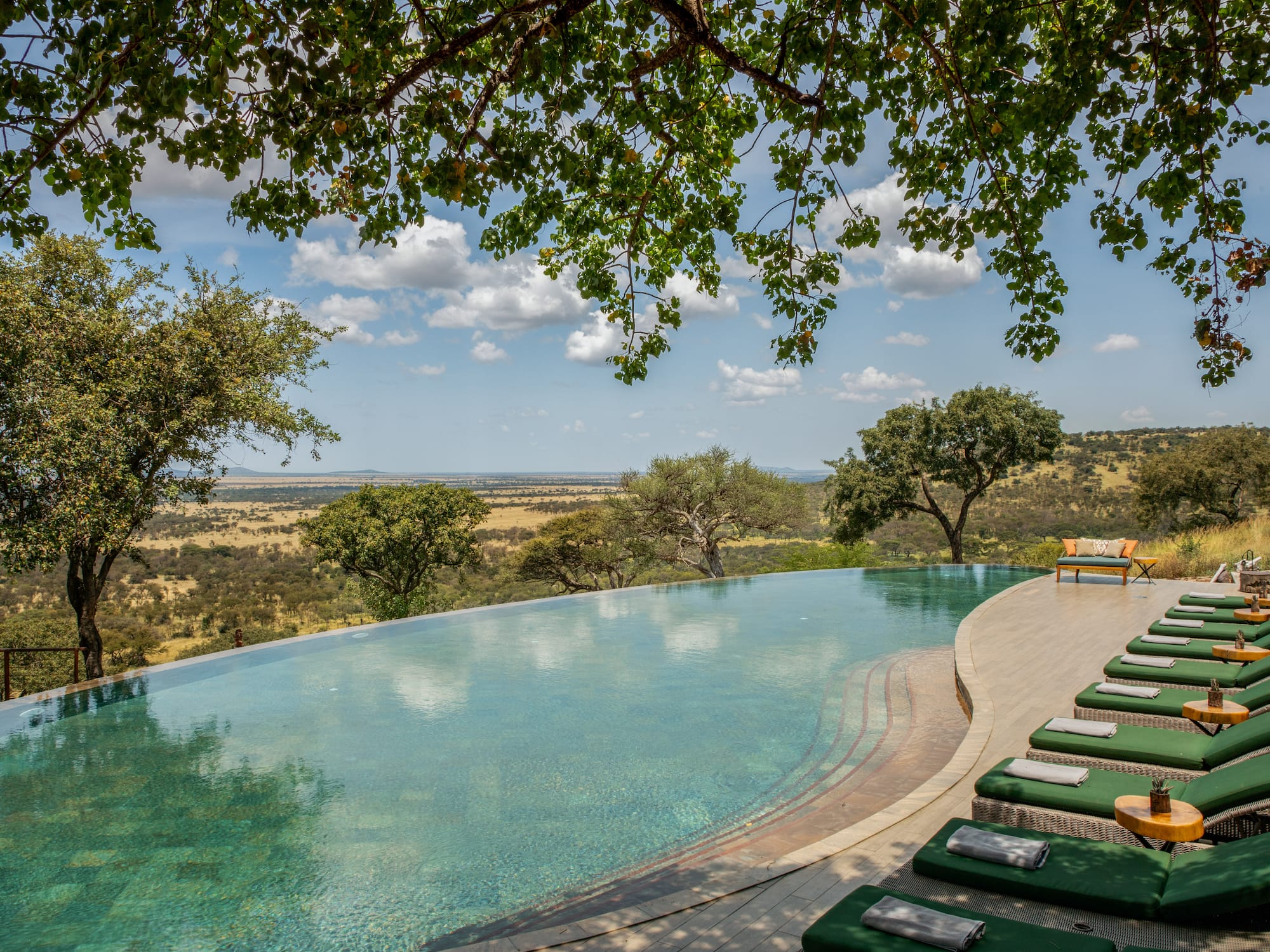a pool with lounge chairs and trees