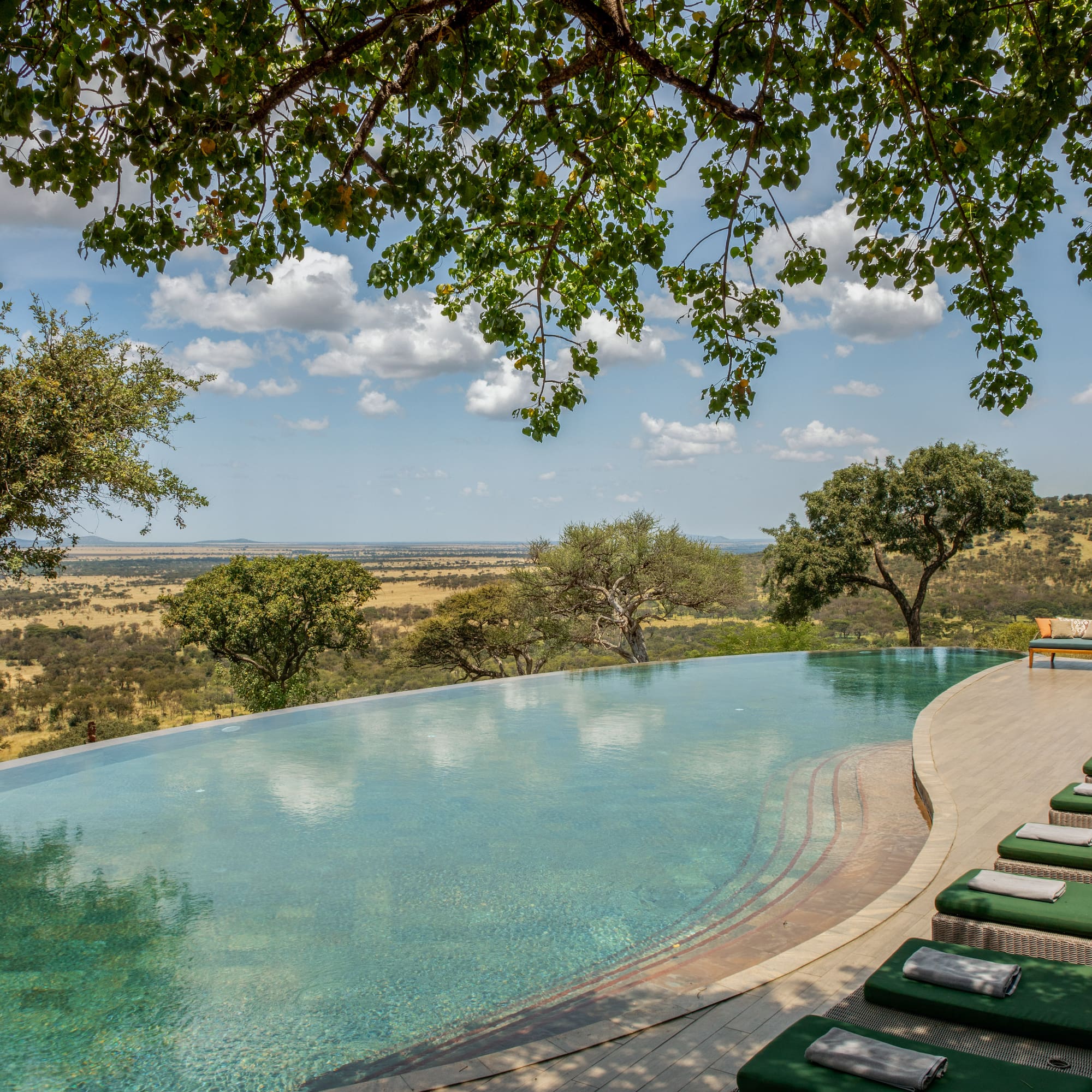 a pool with lounge chairs and trees