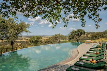 a pool with lounge chairs and trees