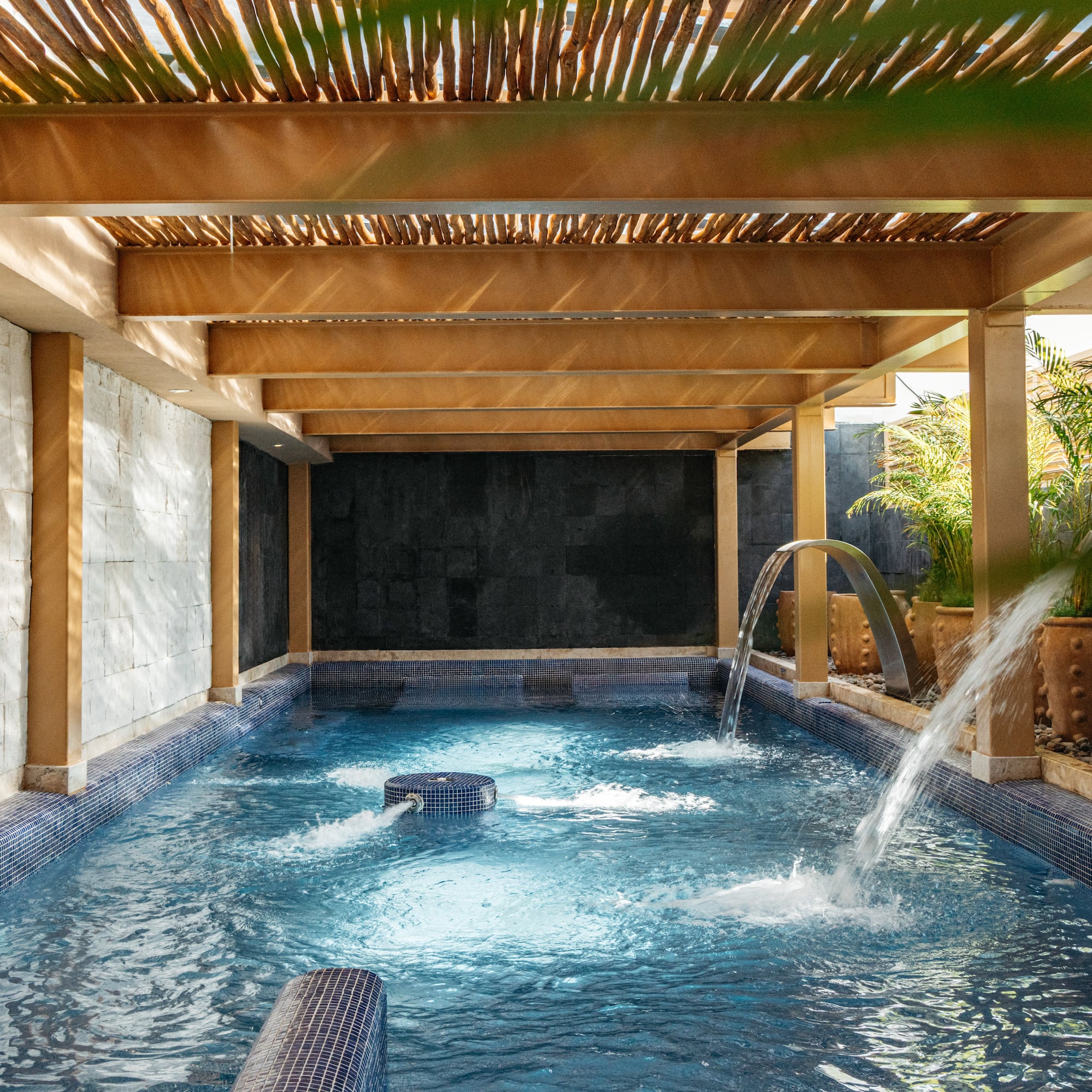 Luxury hydrotherapy spa pool with water features and tropical plants.