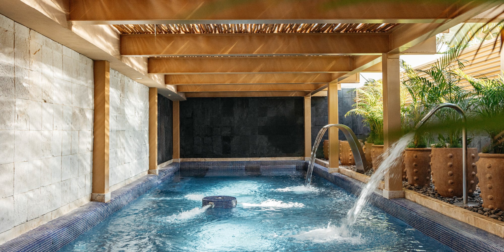 Luxury hydrotherapy spa pool with water features and tropical plants.