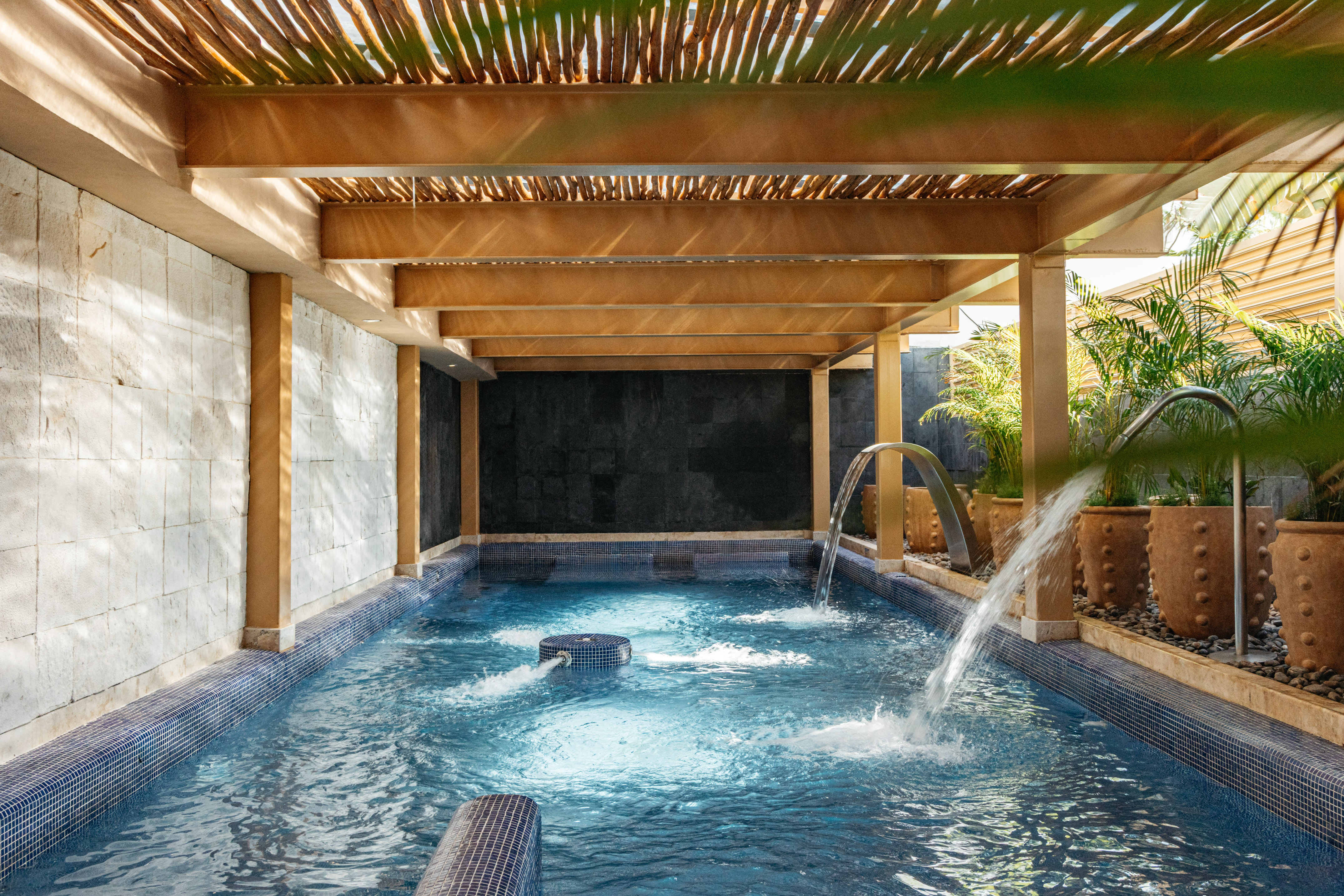 Luxury hydrotherapy spa pool with water features and tropical plants.