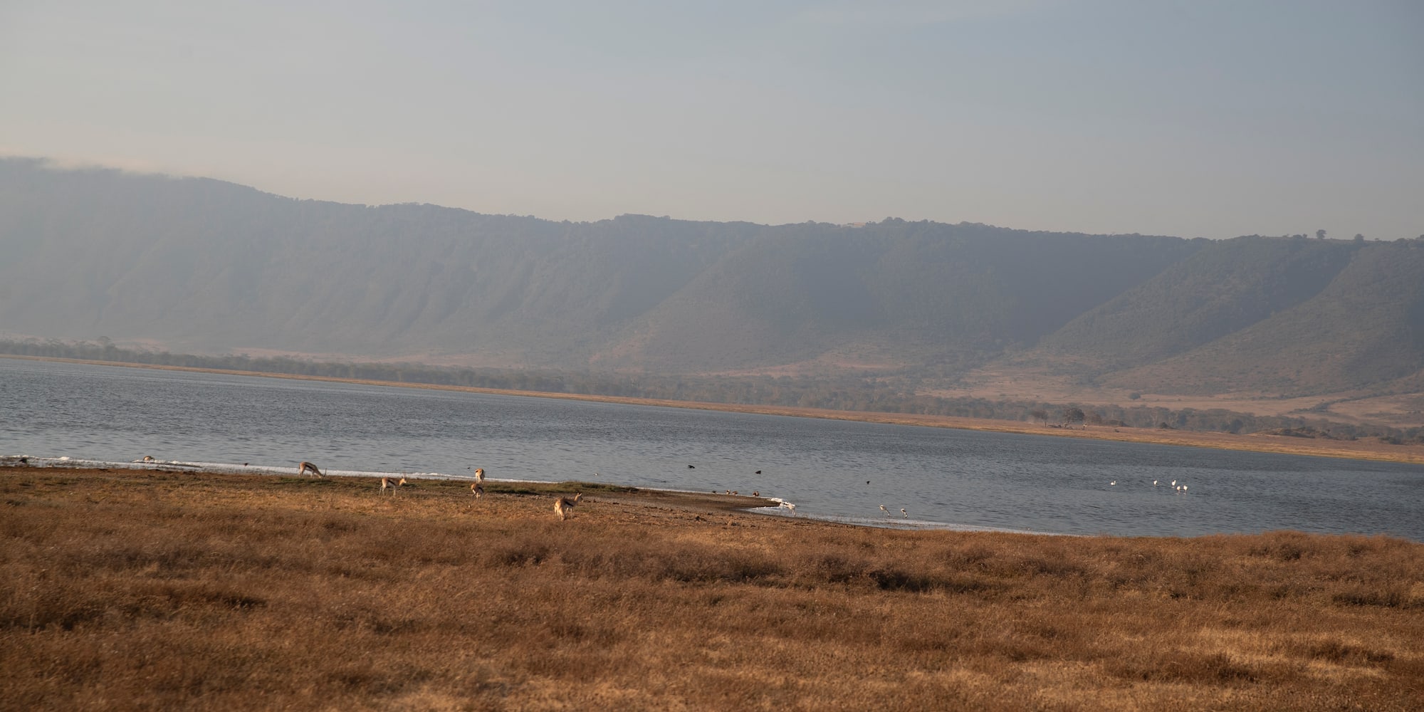 a lake with birds and mountains in the background