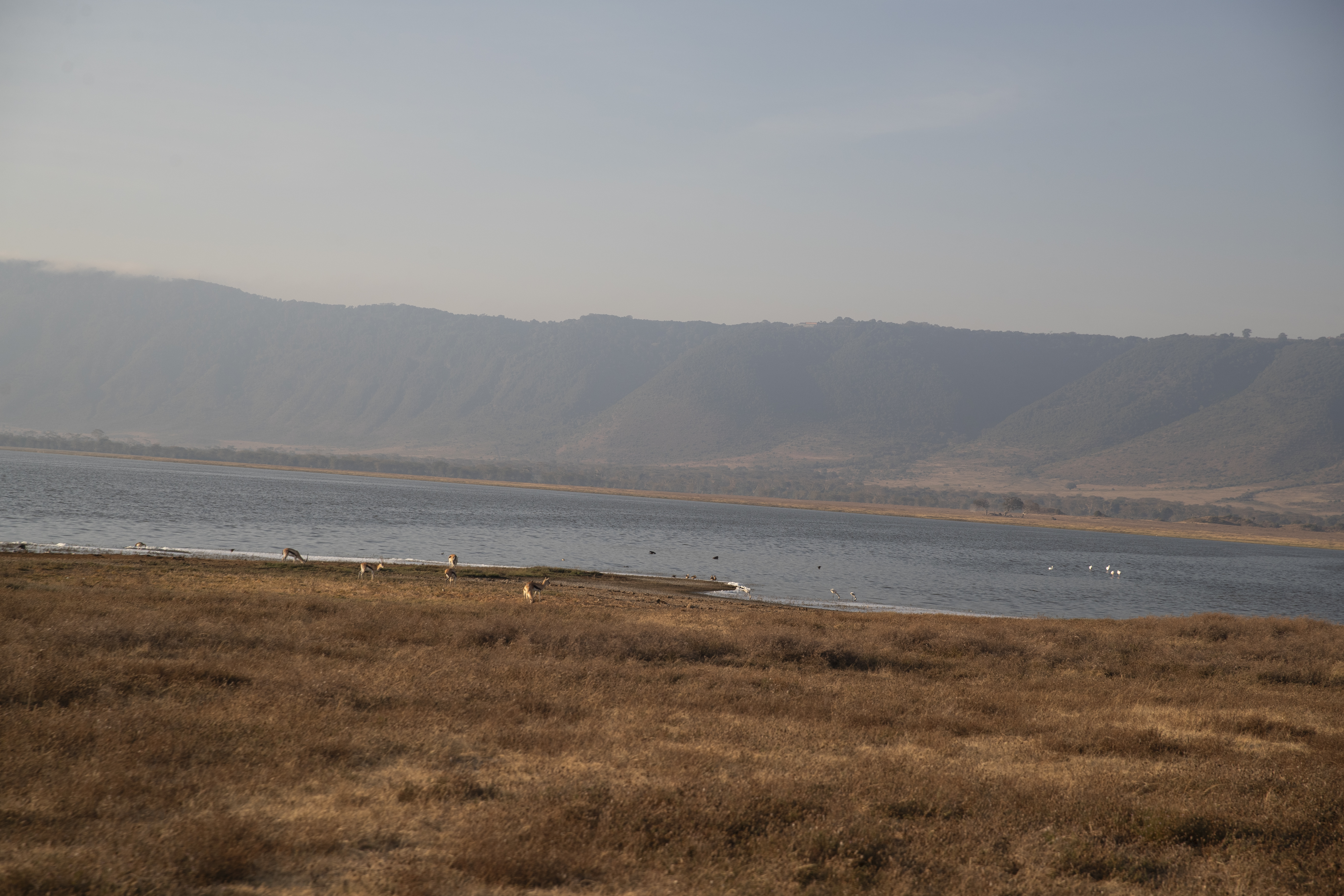 a lake with birds and mountains in the background