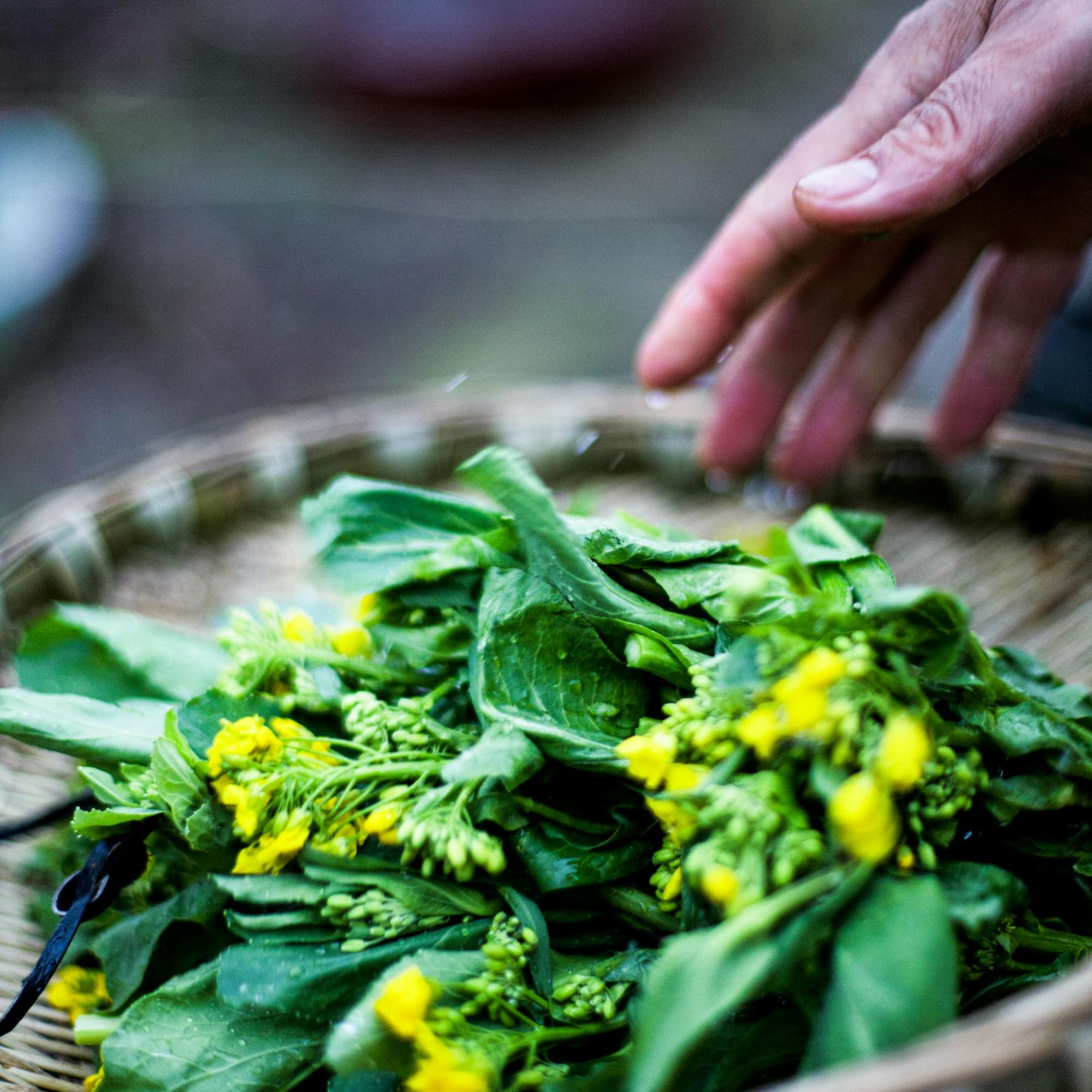 a hand reaching over a basket of leaves