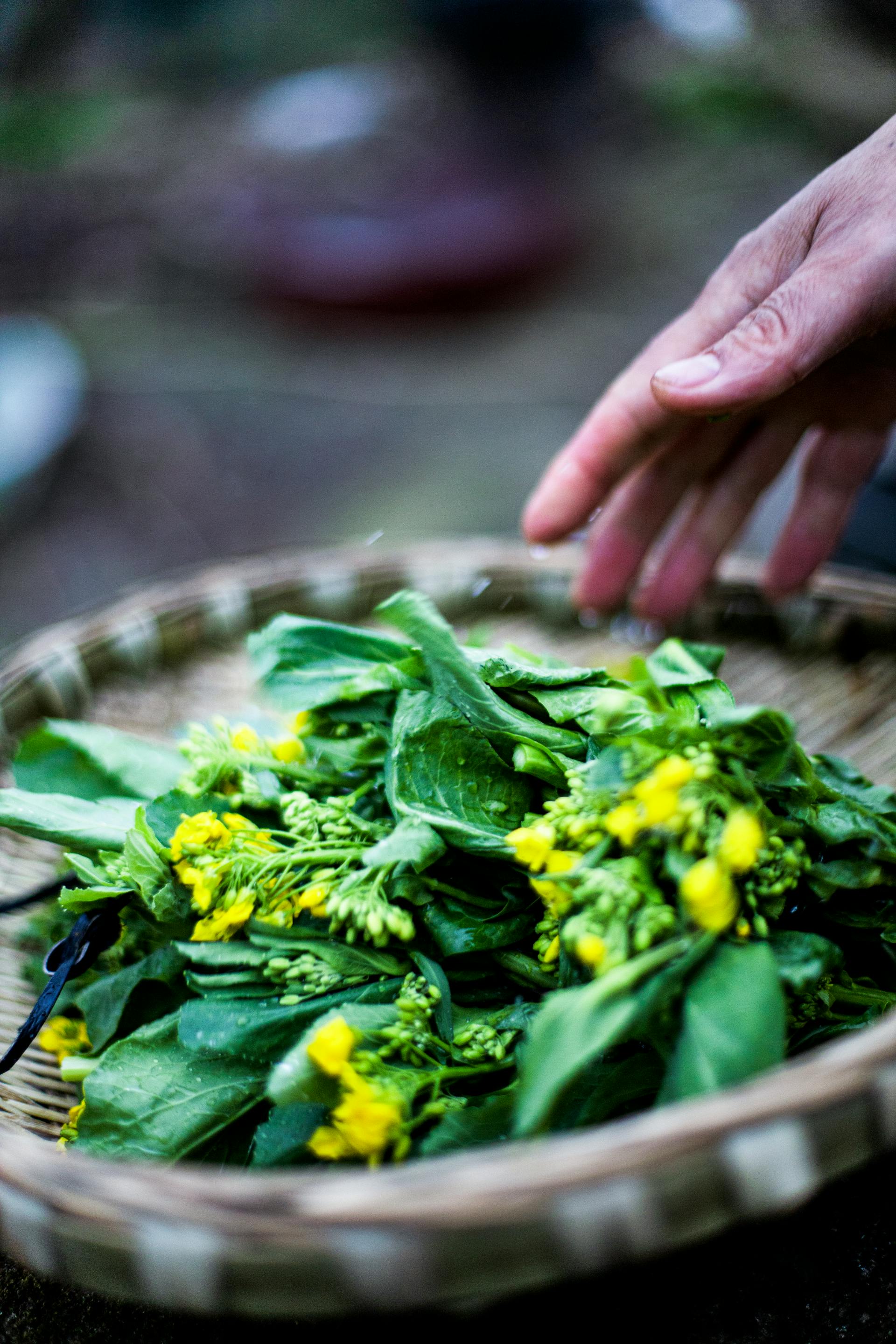 a hand reaching over a basket of leaves