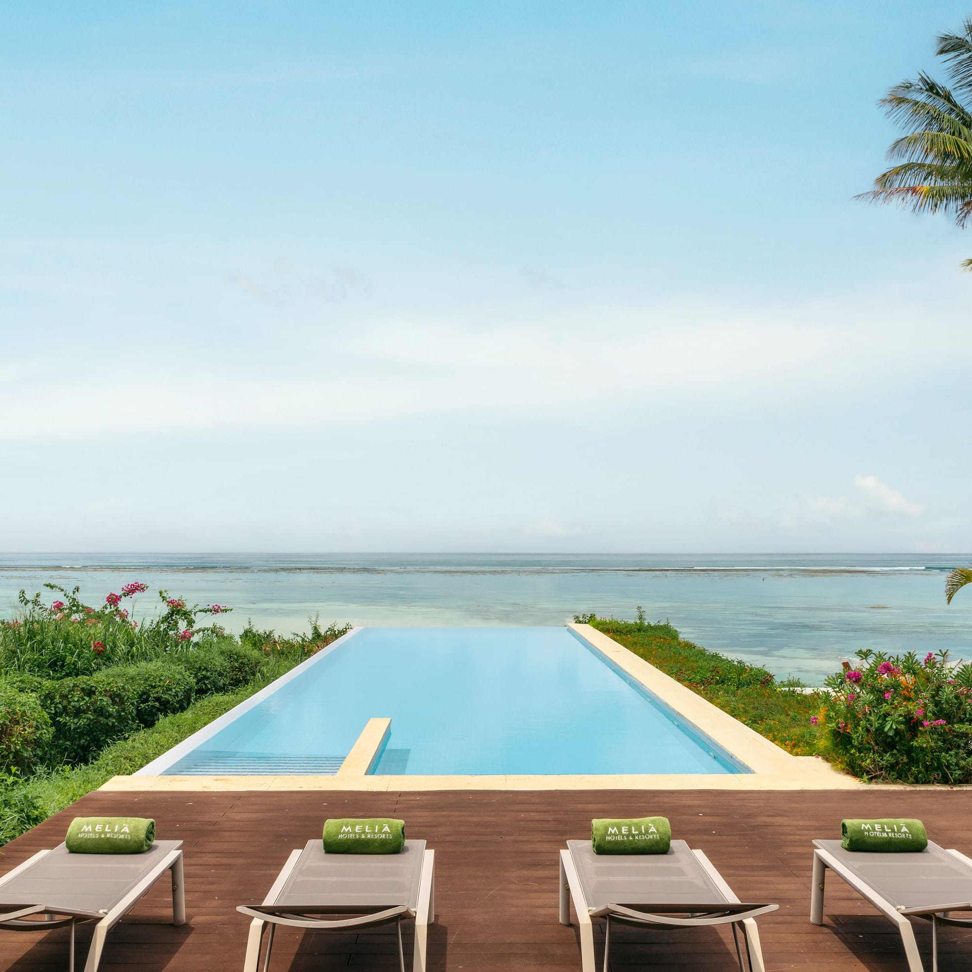 a pool with chairs and a palm tree