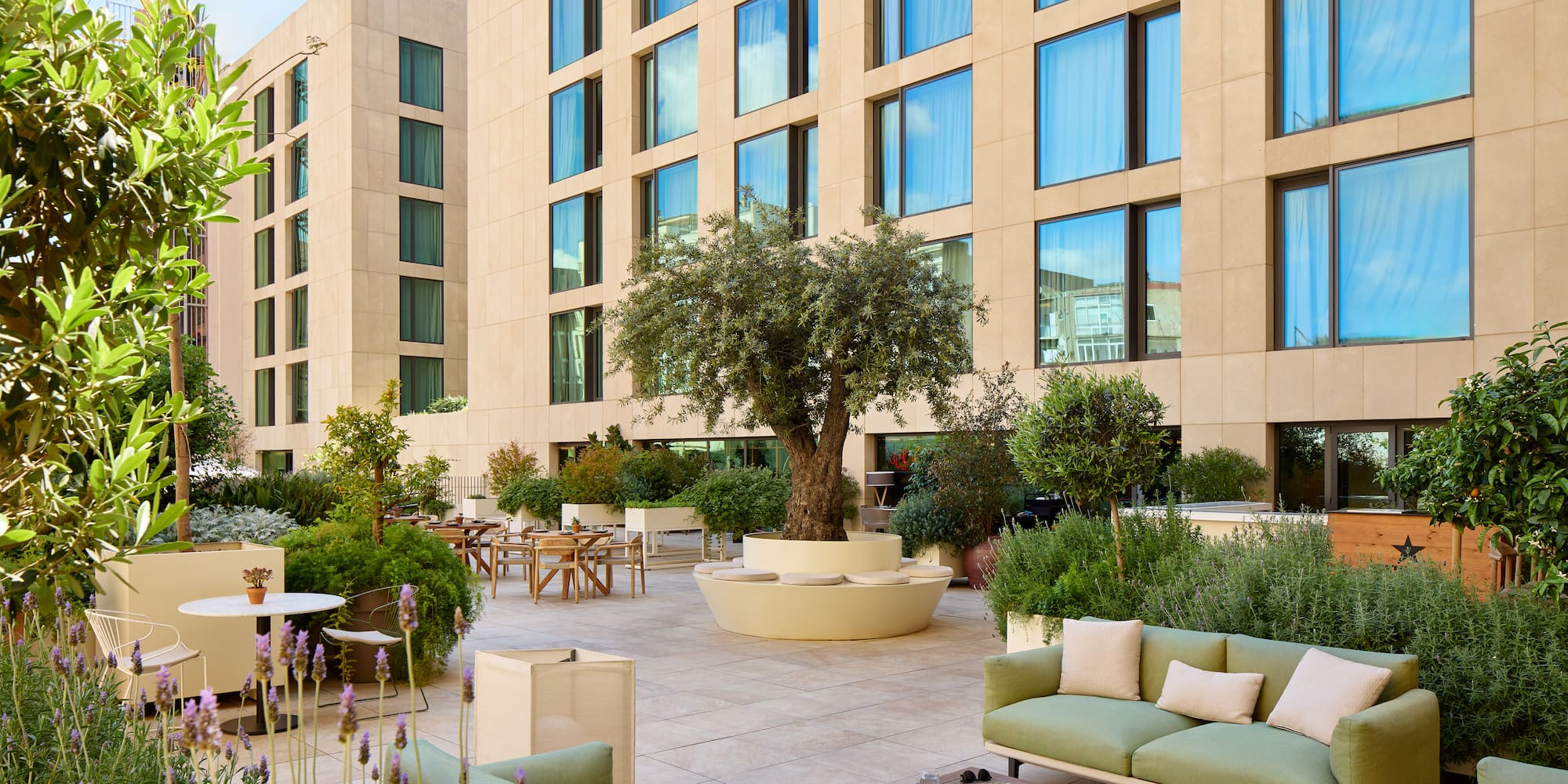 a courtyard with a tree and chairs