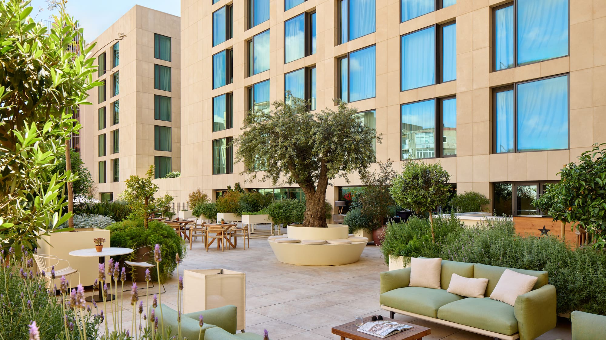 a courtyard with a tree and chairs