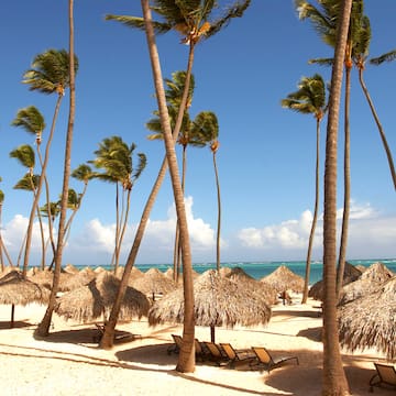 a beach with palm trees and umbrellas