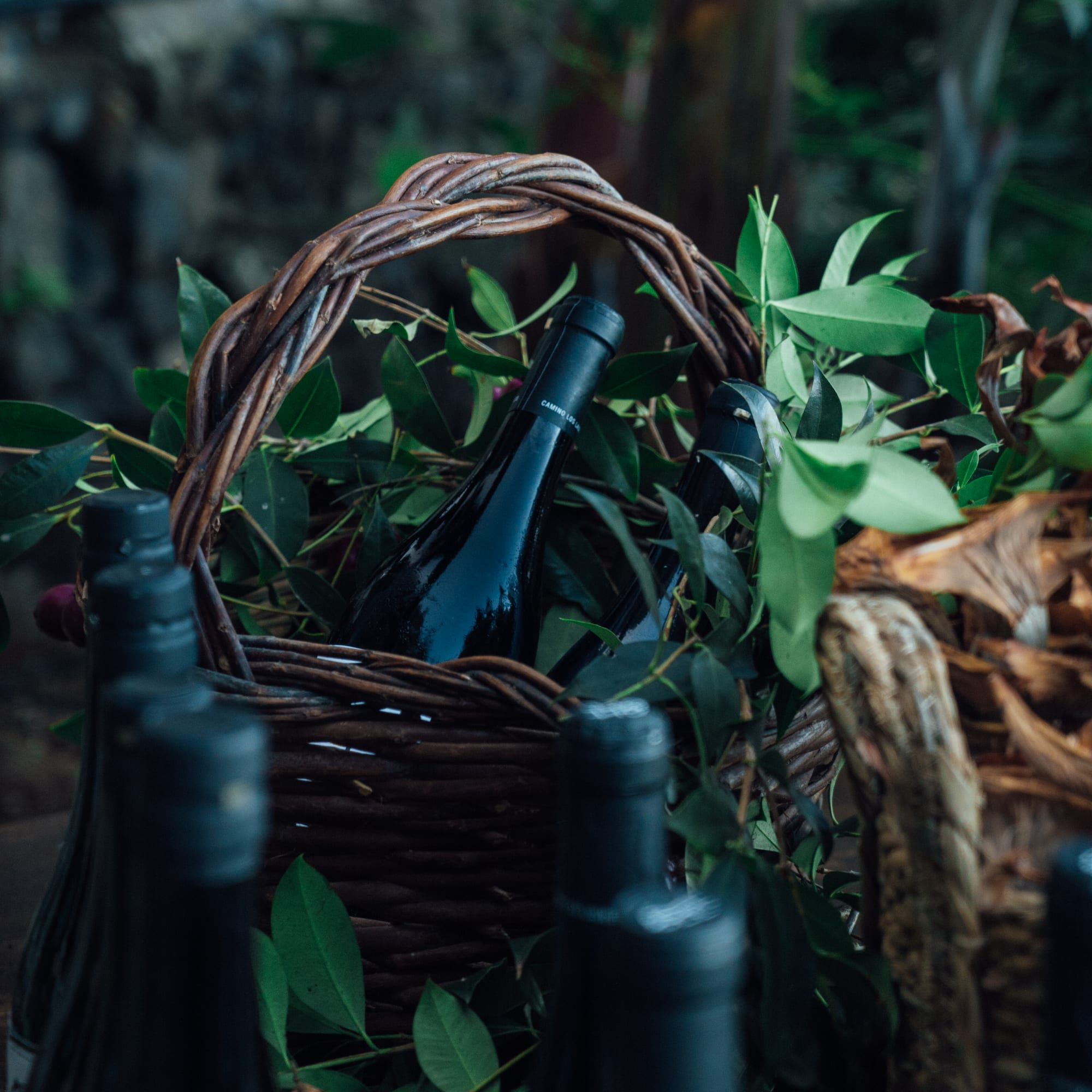 a basket of wine bottles and leaves
