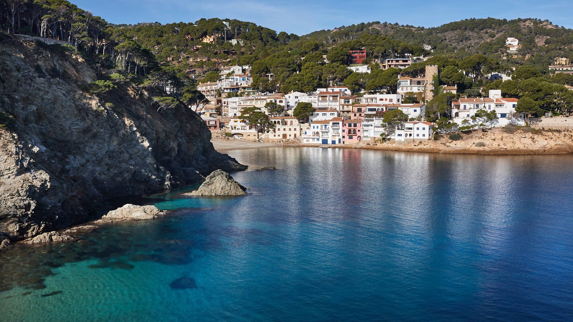 a body of water with buildings and trees