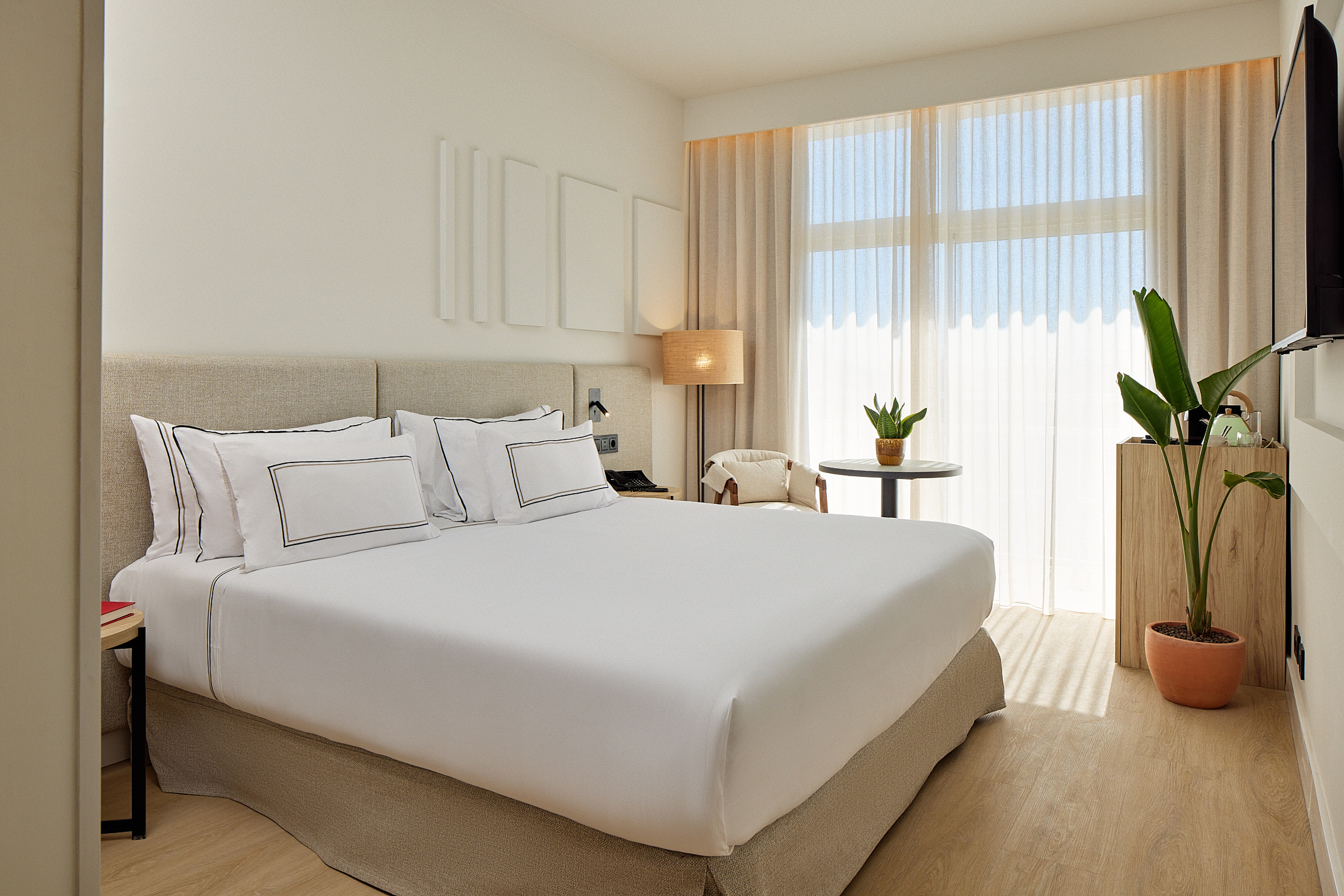 Modern hotel bedroom with white bed, natural light, wood floor, and plants.