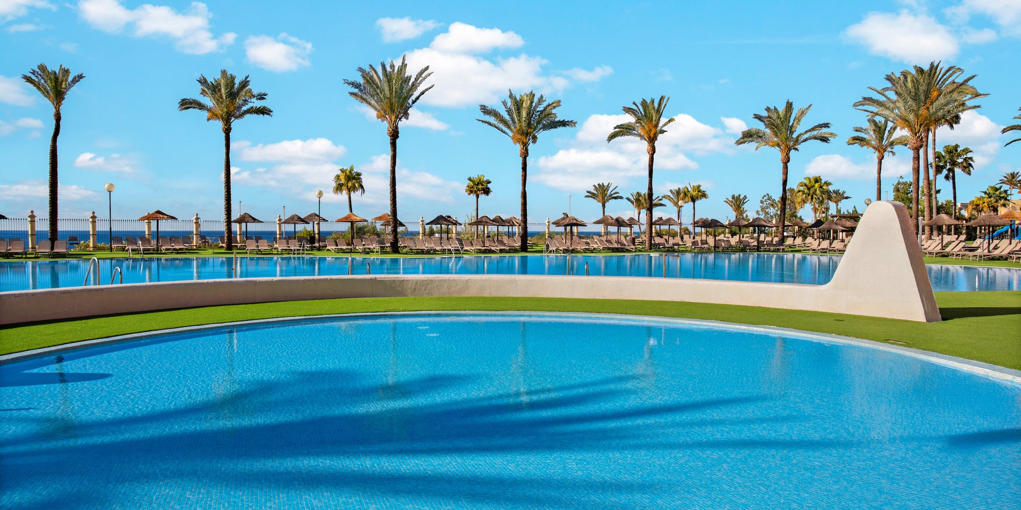 Tropical resort pool with palm trees, sunny blue sky, and loungers.