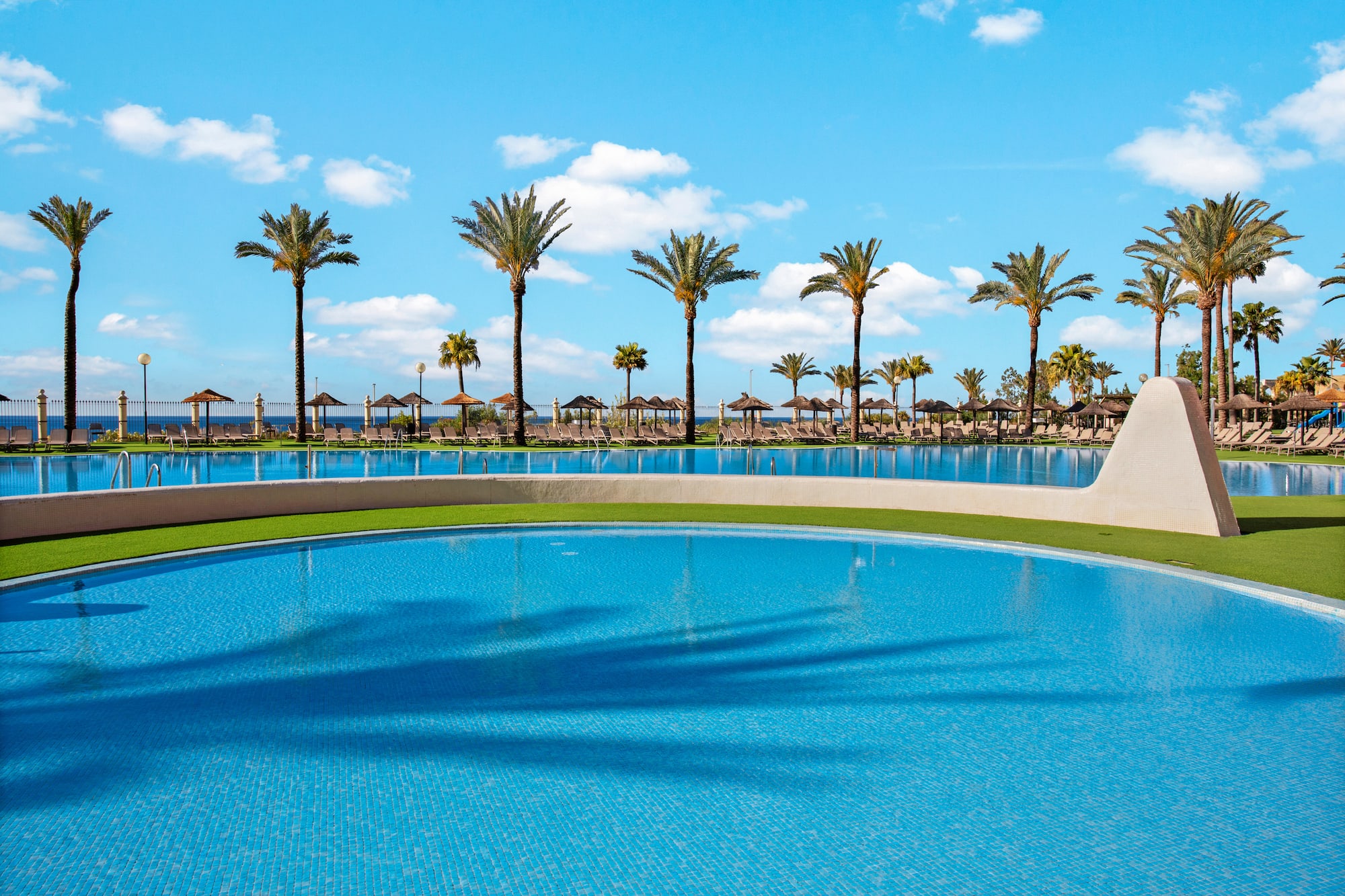 Tropical resort pool with palm trees, sunny blue sky, and loungers.