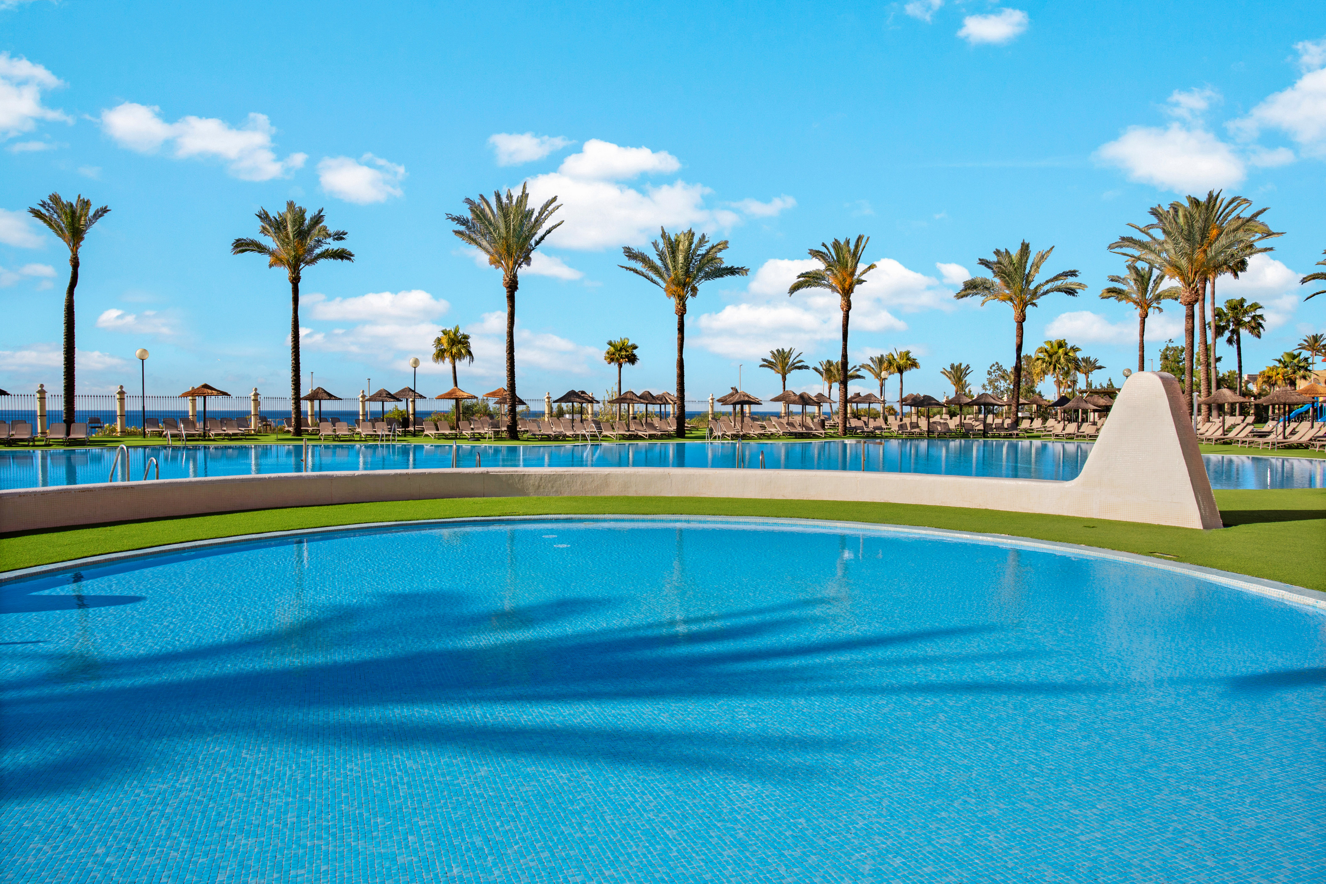 Tropical resort pool with palm trees, sunny blue sky, and loungers.