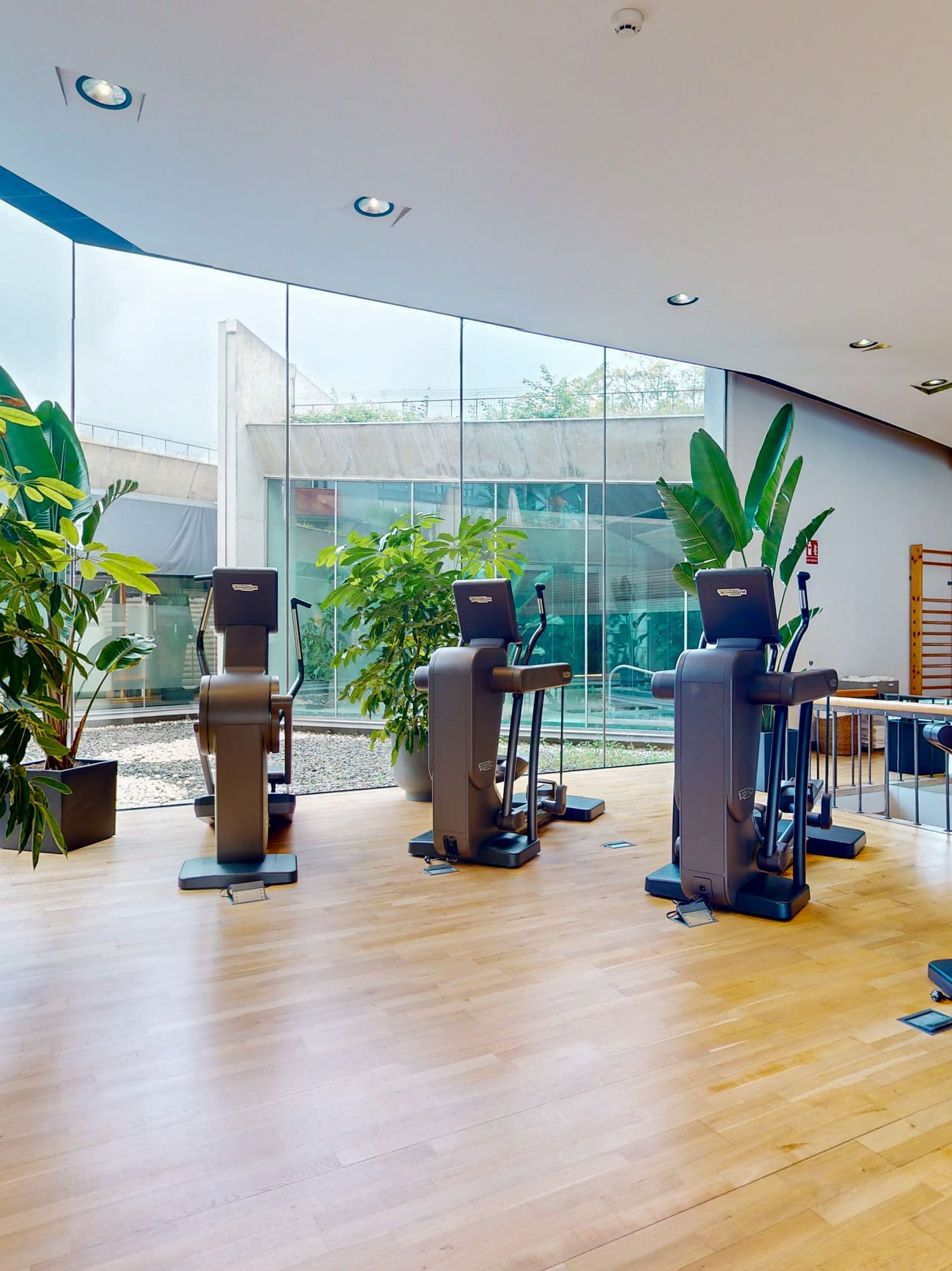 a room with exercise equipment and plants