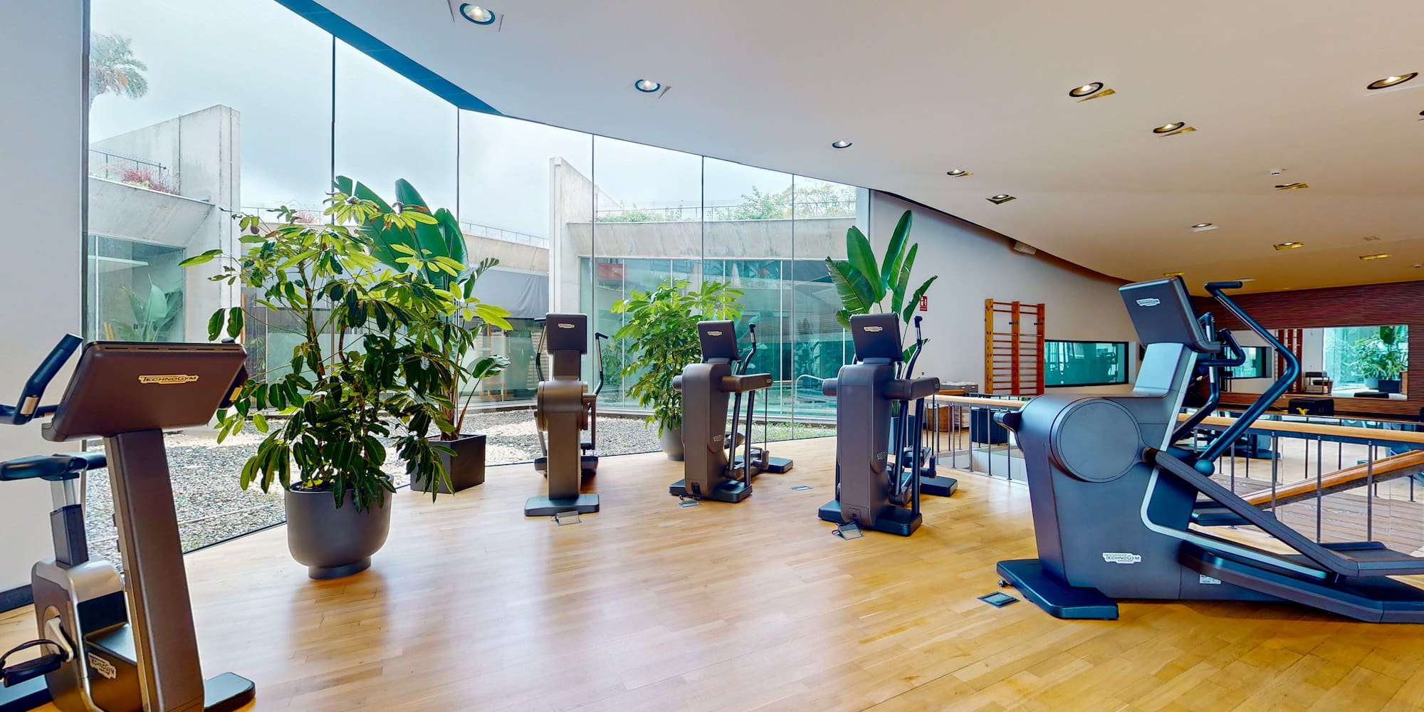 a room with exercise equipment and plants
