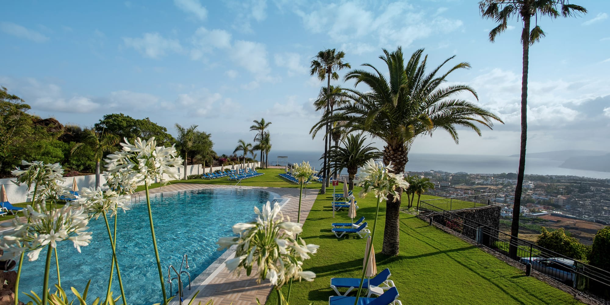 a pool with chairs and palm trees