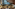 Grand hotel lobby with twin trees, elegant seating, and a striking window wall.