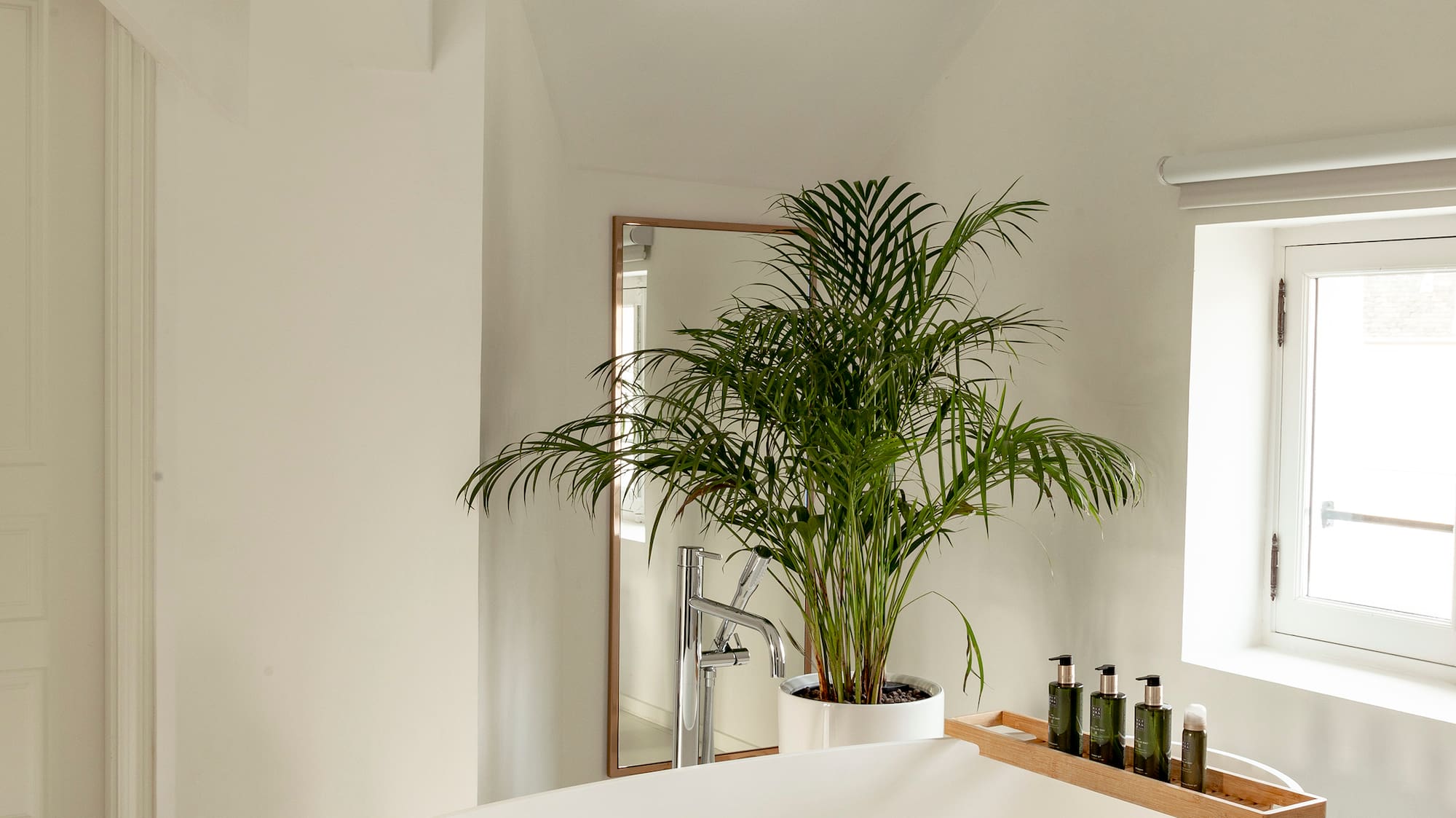 a white bathroom with a tub and a plant