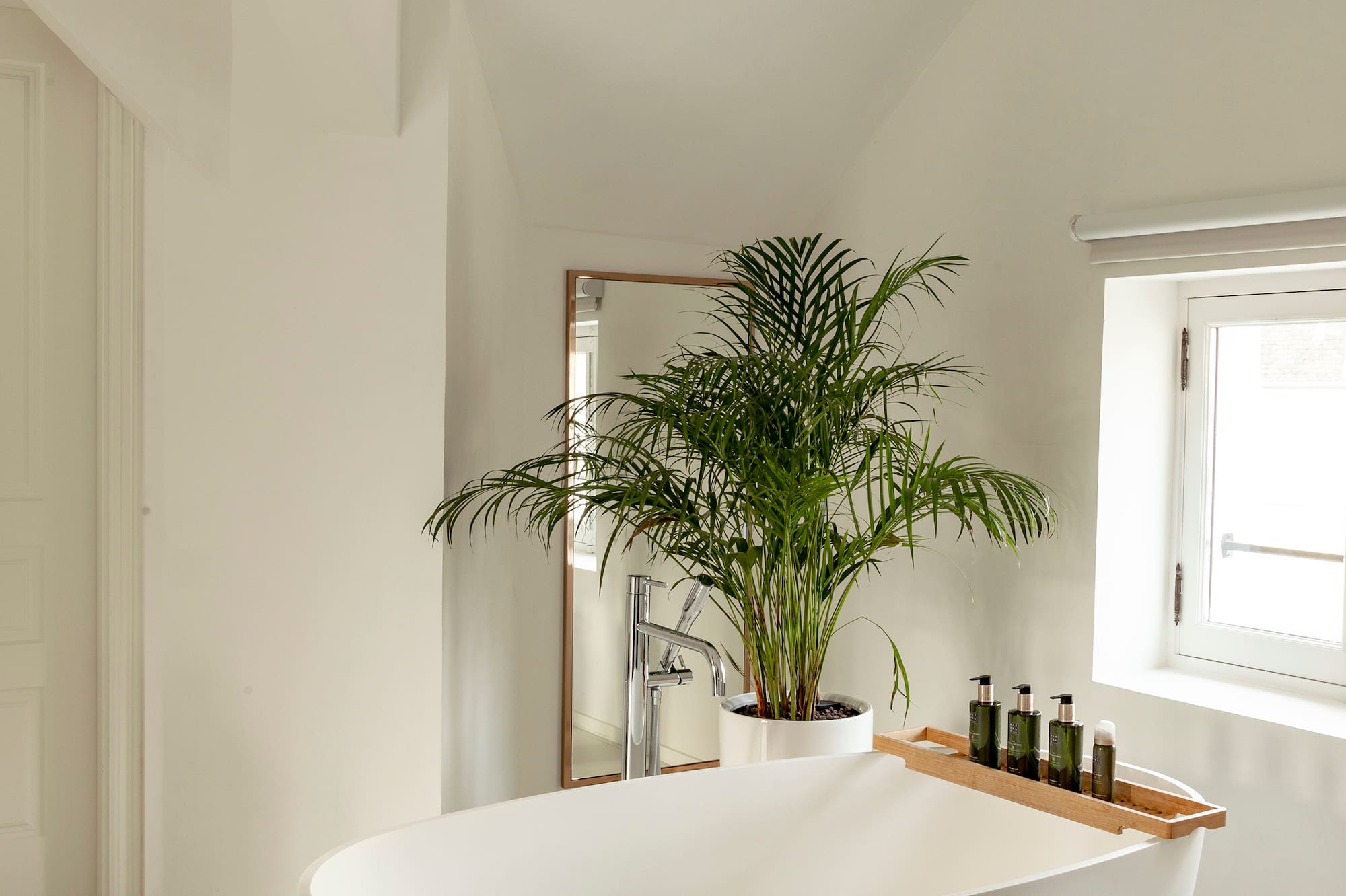 a white bathroom with a tub and a plant