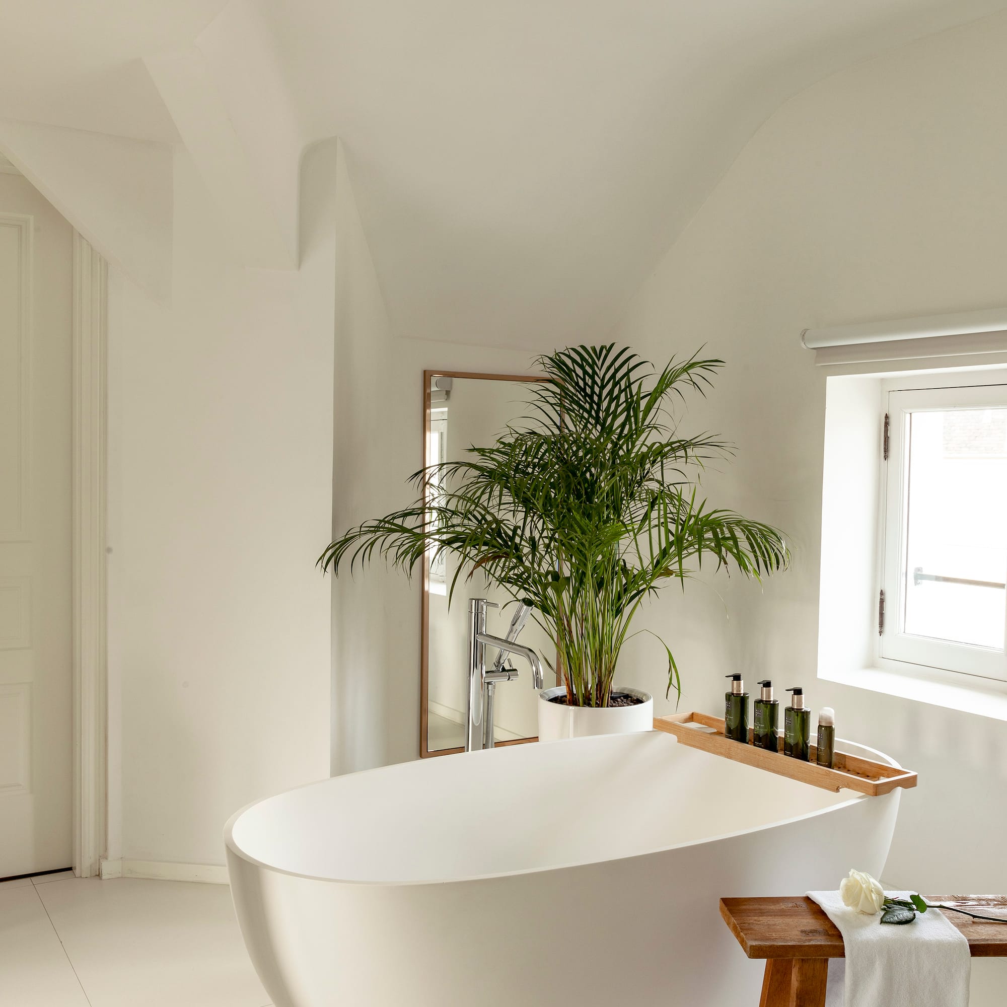 a white bathroom with a tub and a plant
