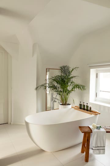 a white bathroom with a tub and a plant