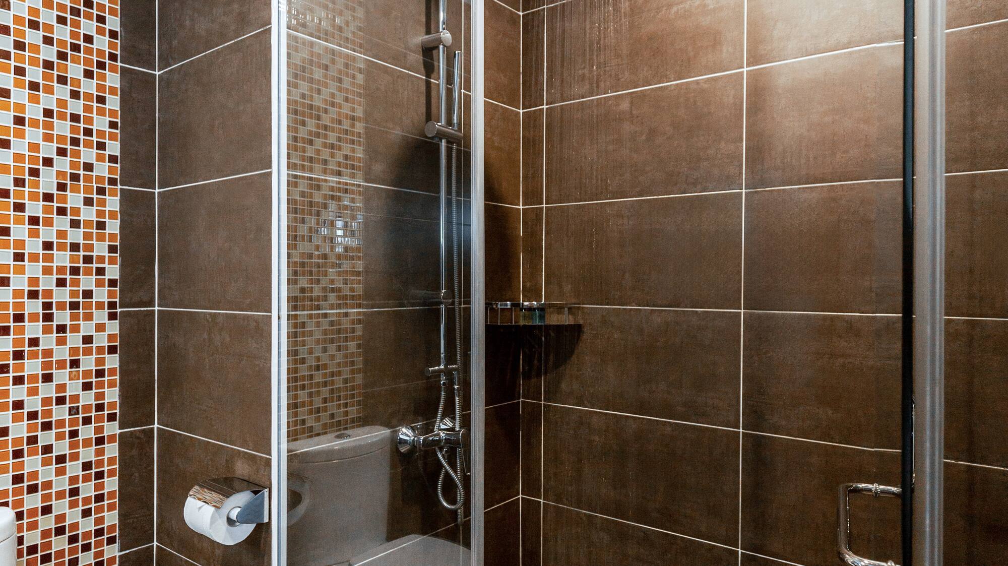 a shower with a toilet and a toilet