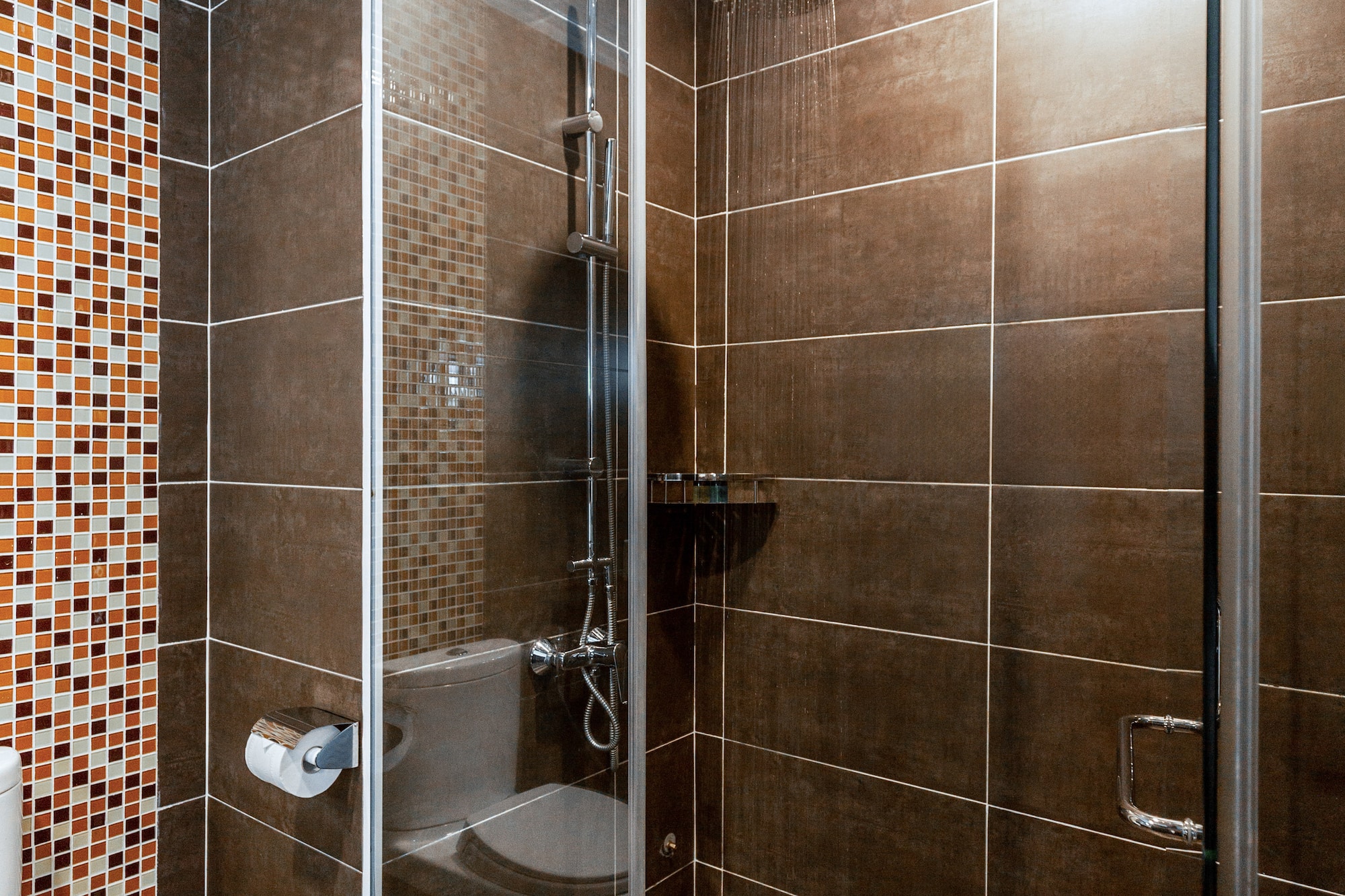 a shower with a toilet and a toilet