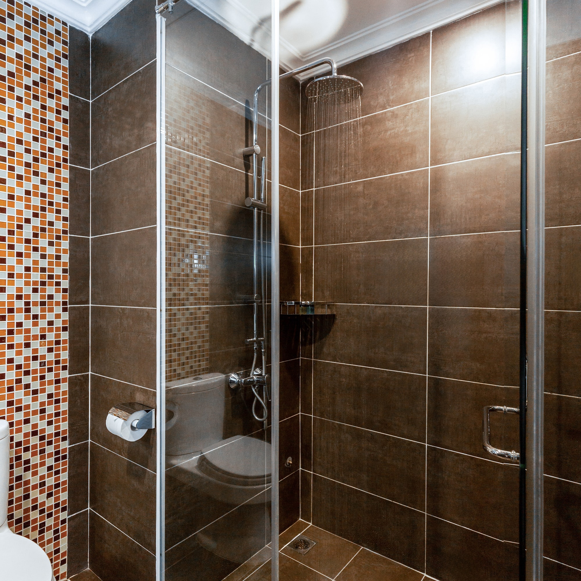 a shower with a toilet and a toilet