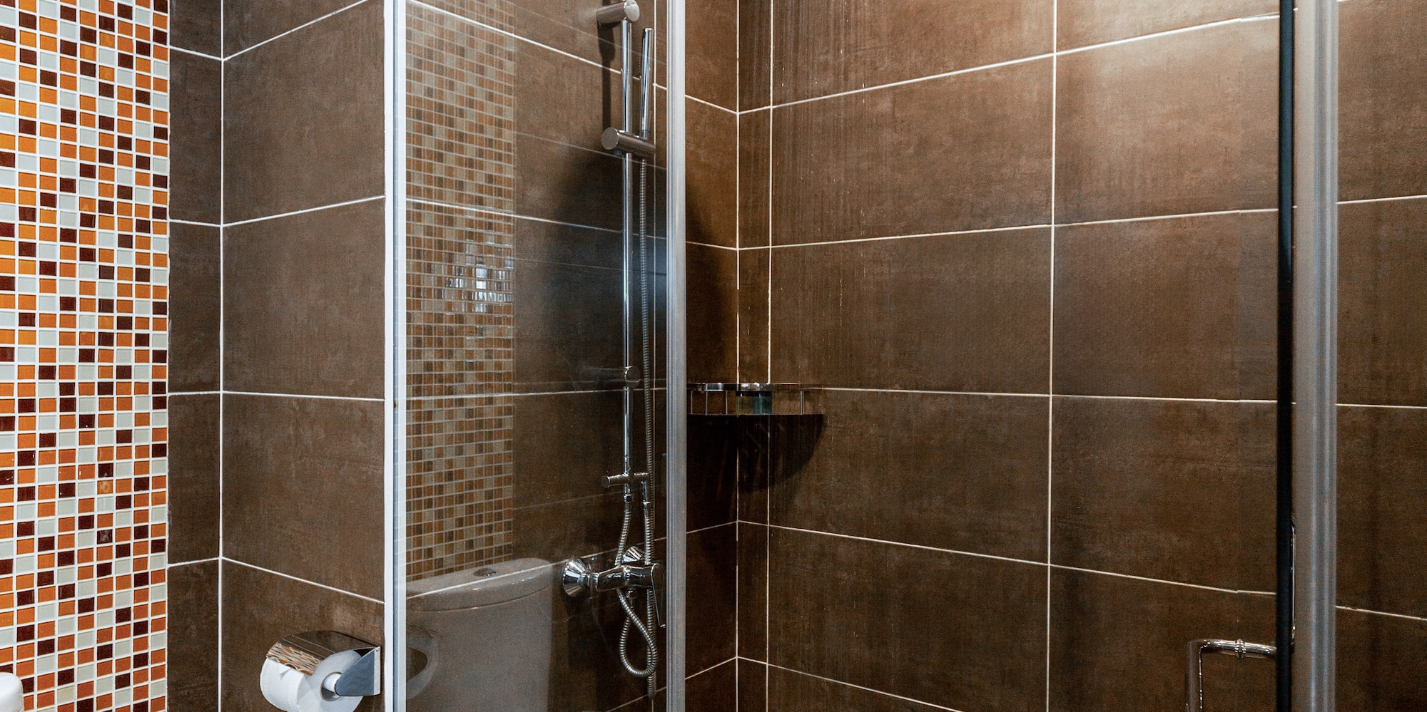 a shower with a toilet and a toilet