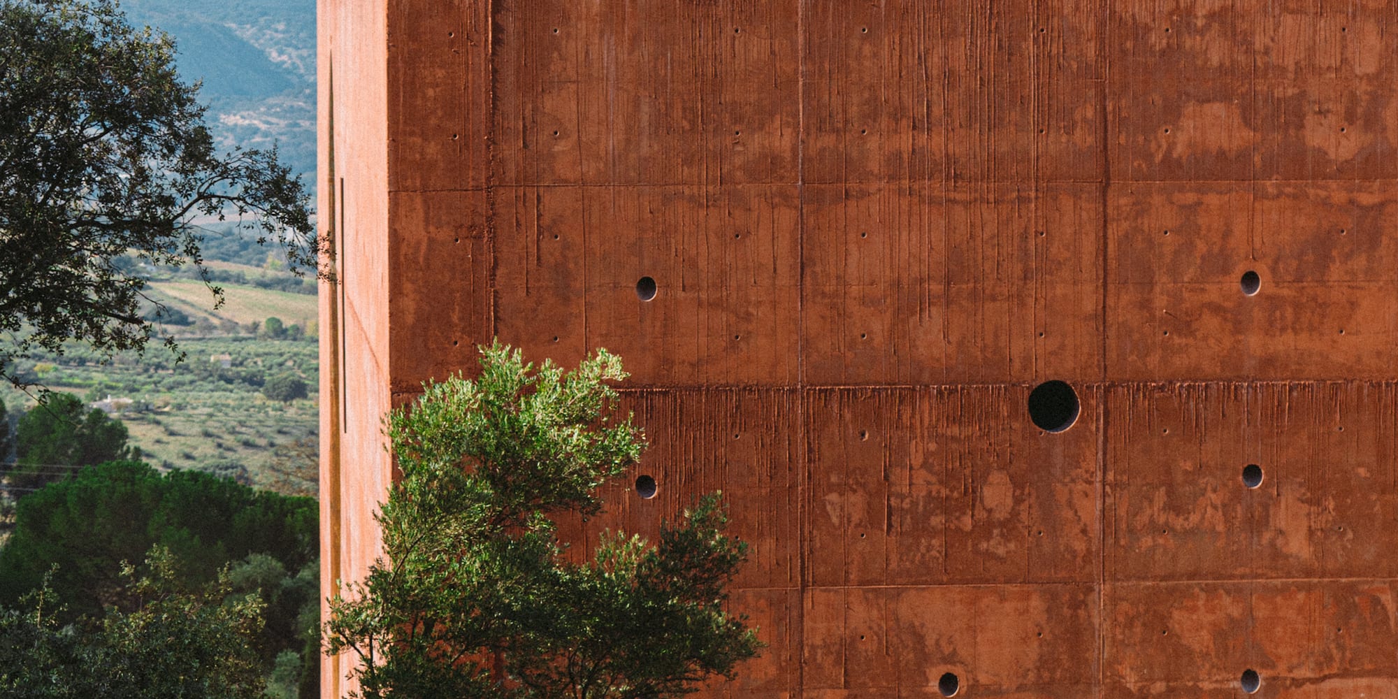 a group of sheep outside a building