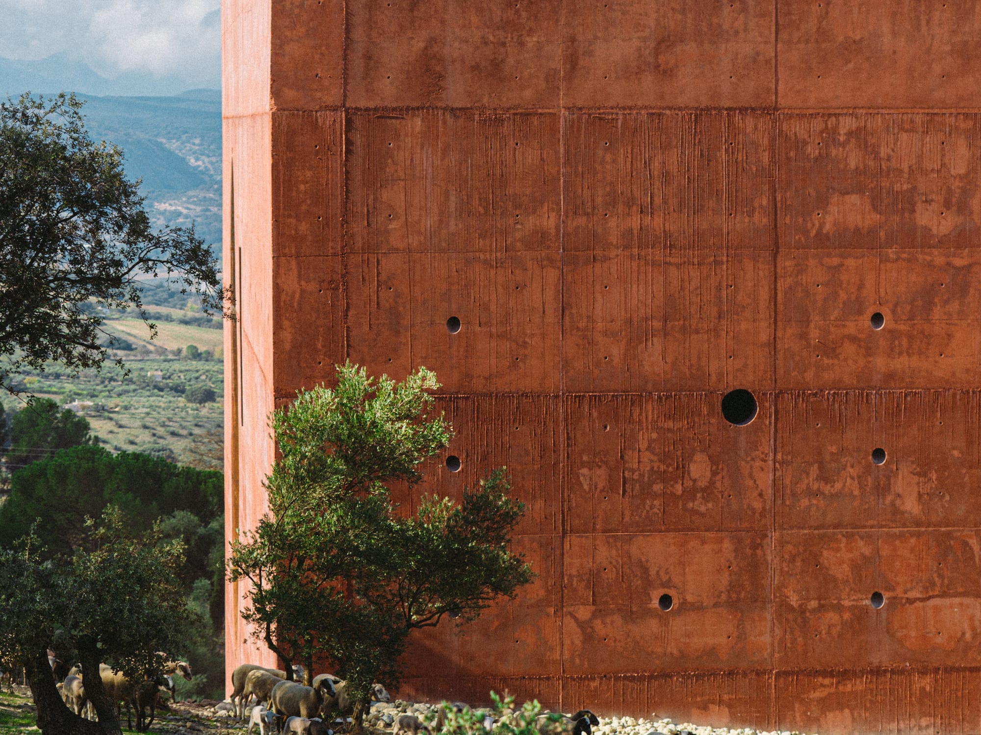 a group of sheep outside a building