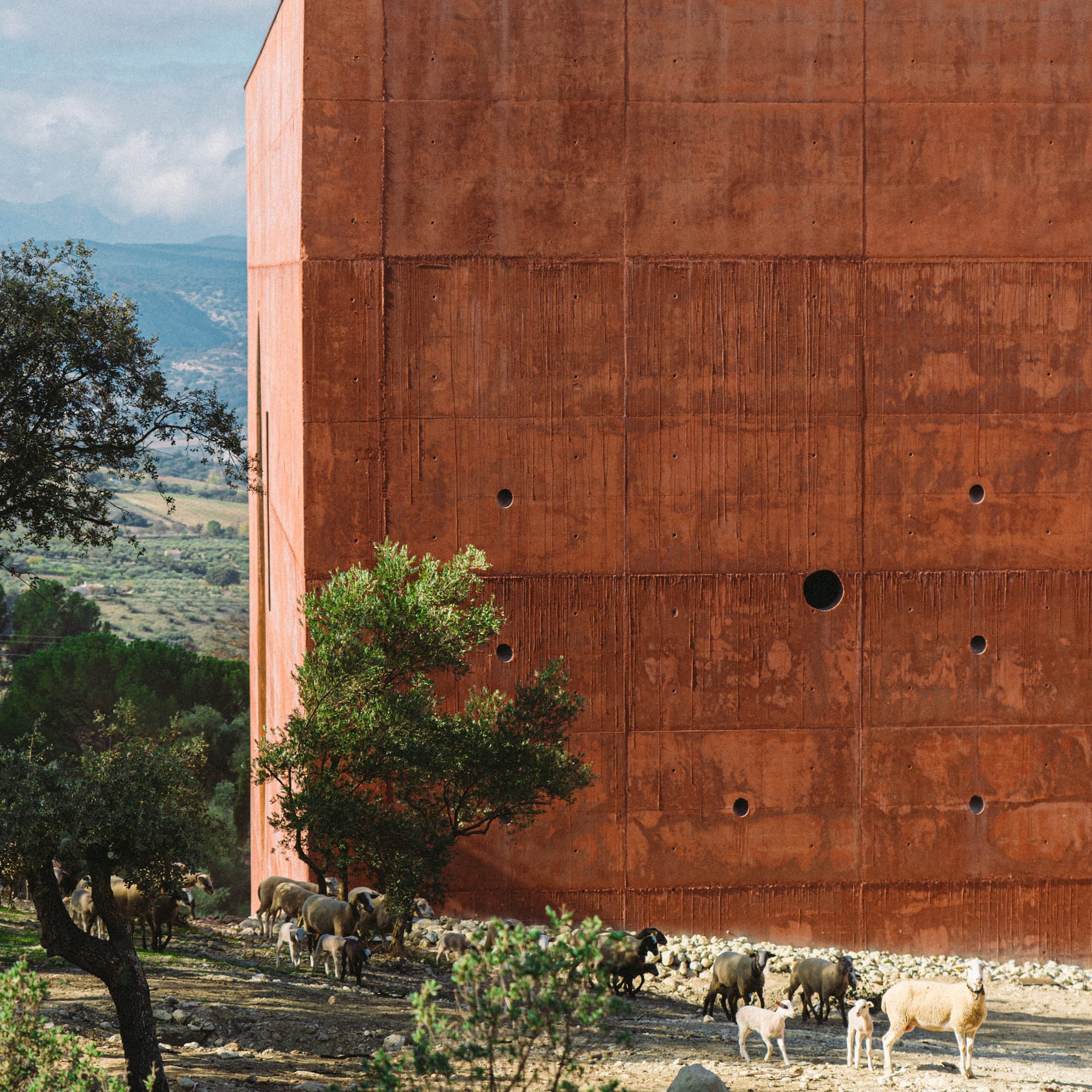 a group of sheep outside a building