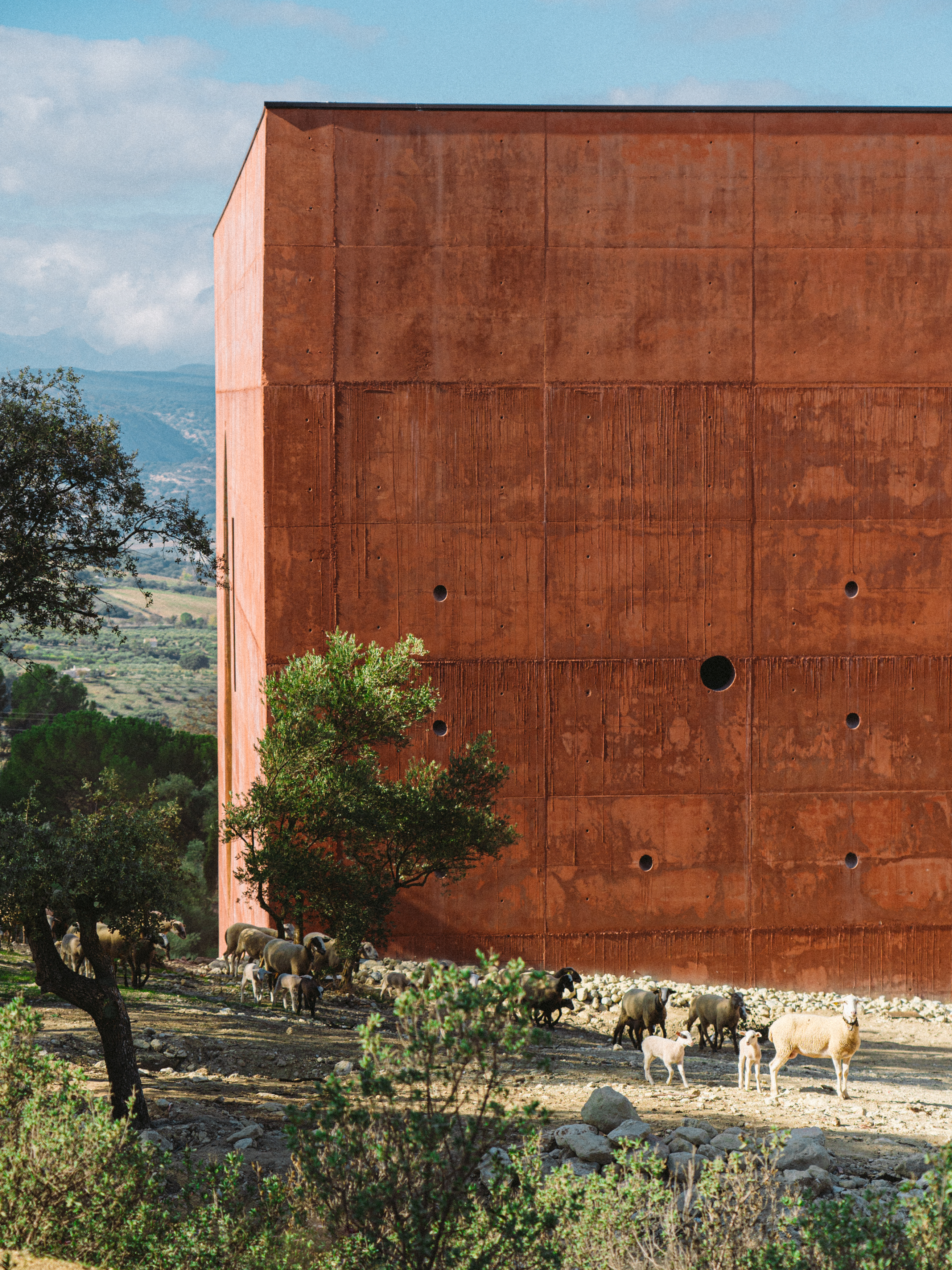 a group of sheep outside a building