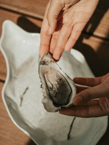 a person holding a oyster