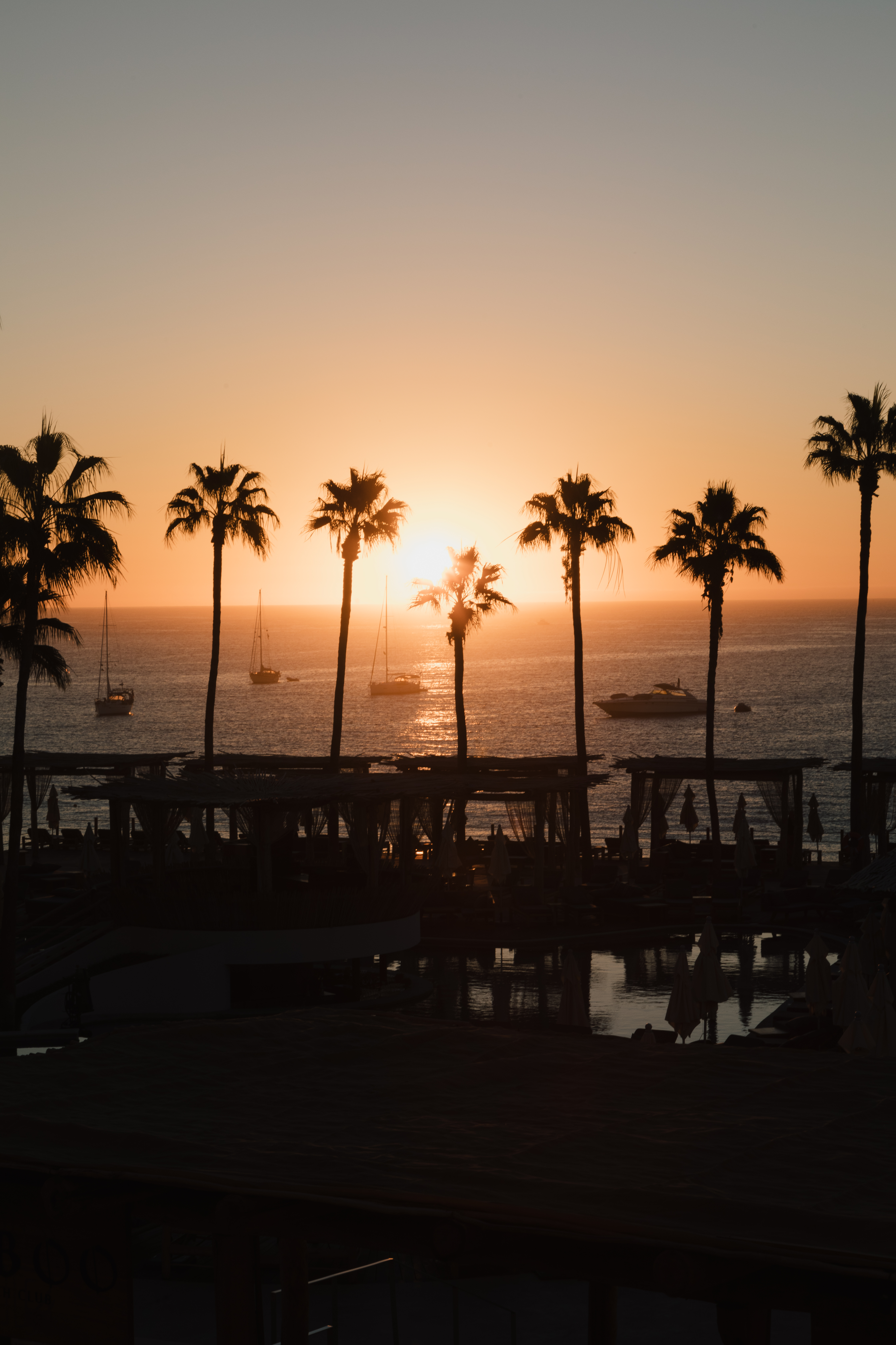 a sunset over a body of water with palm trees