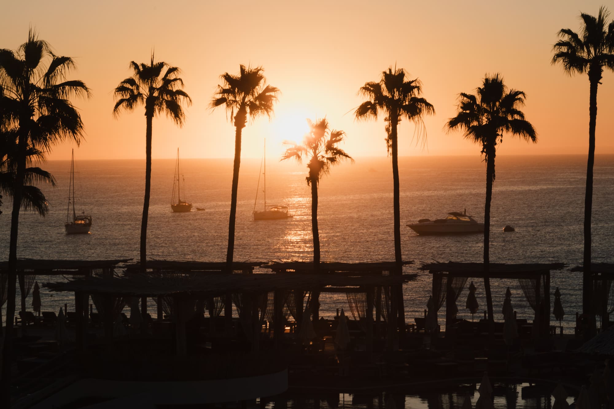 a sunset over a body of water with palm trees