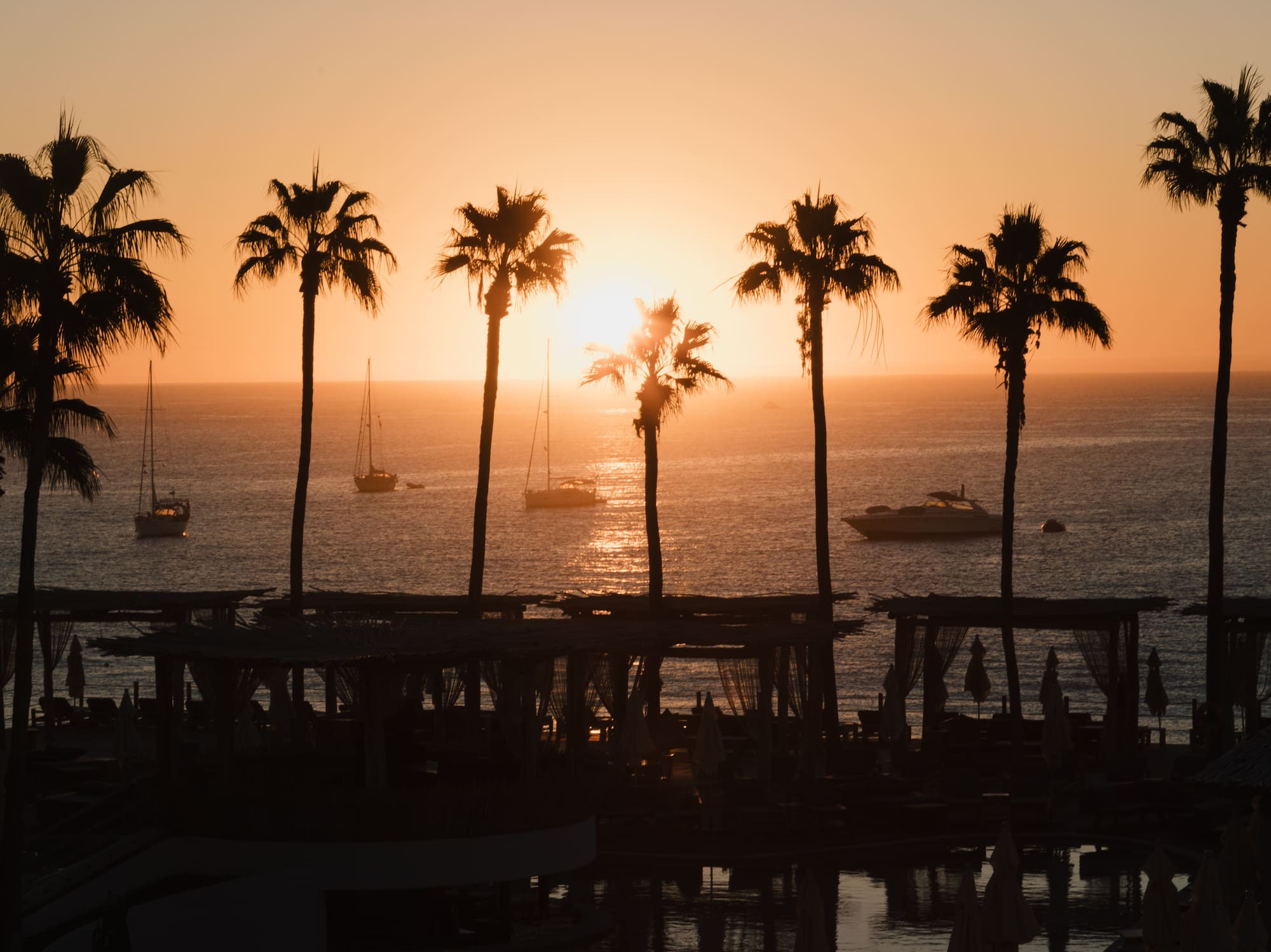 a sunset over a body of water with palm trees