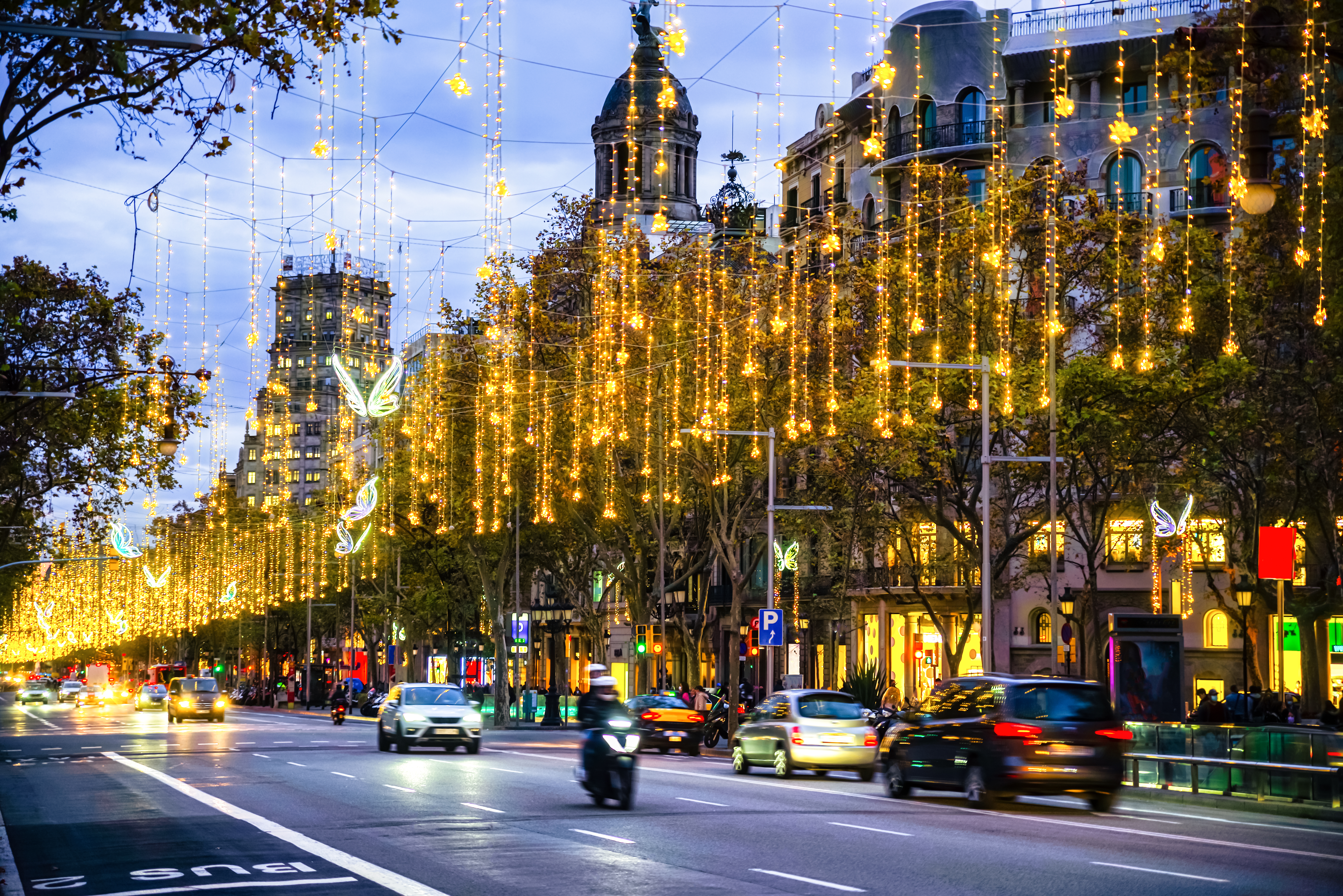 Luces de Navidad doradas iluminando avenida urbana con tráfico nocturno.