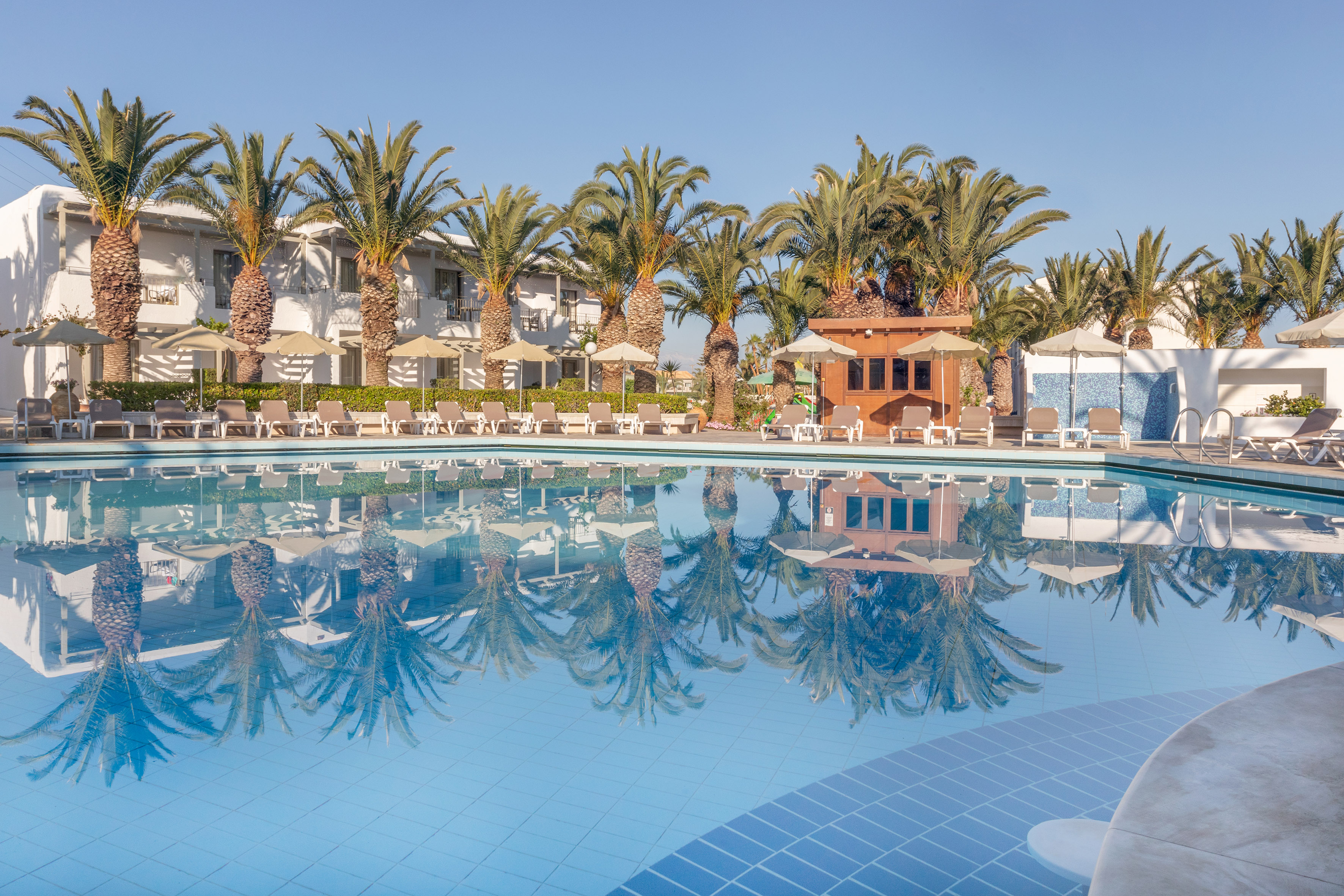 a pool with palm trees and a building