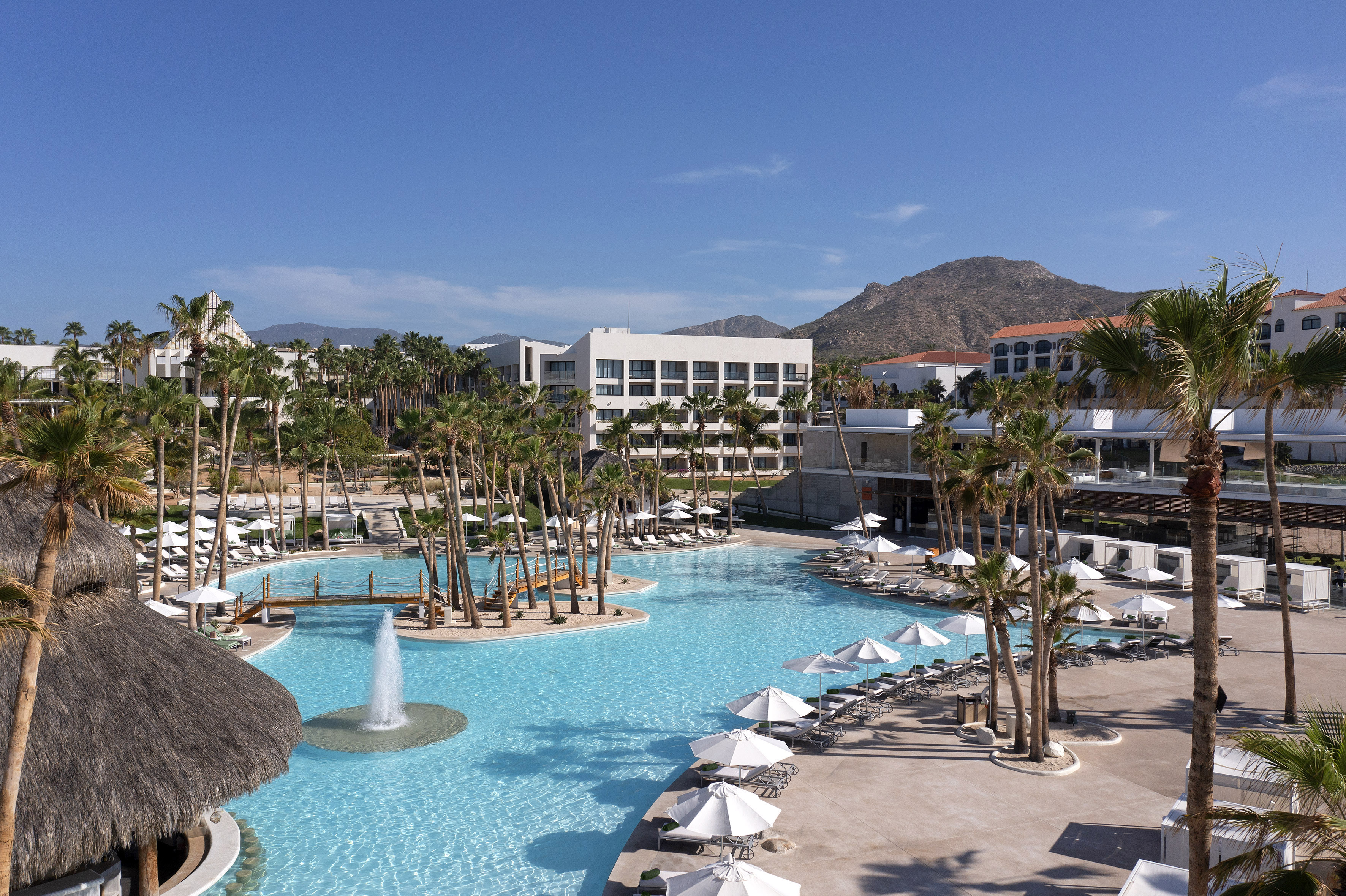 Tropical resort swimming pool with palm trees, hotel, and lounge chairs.