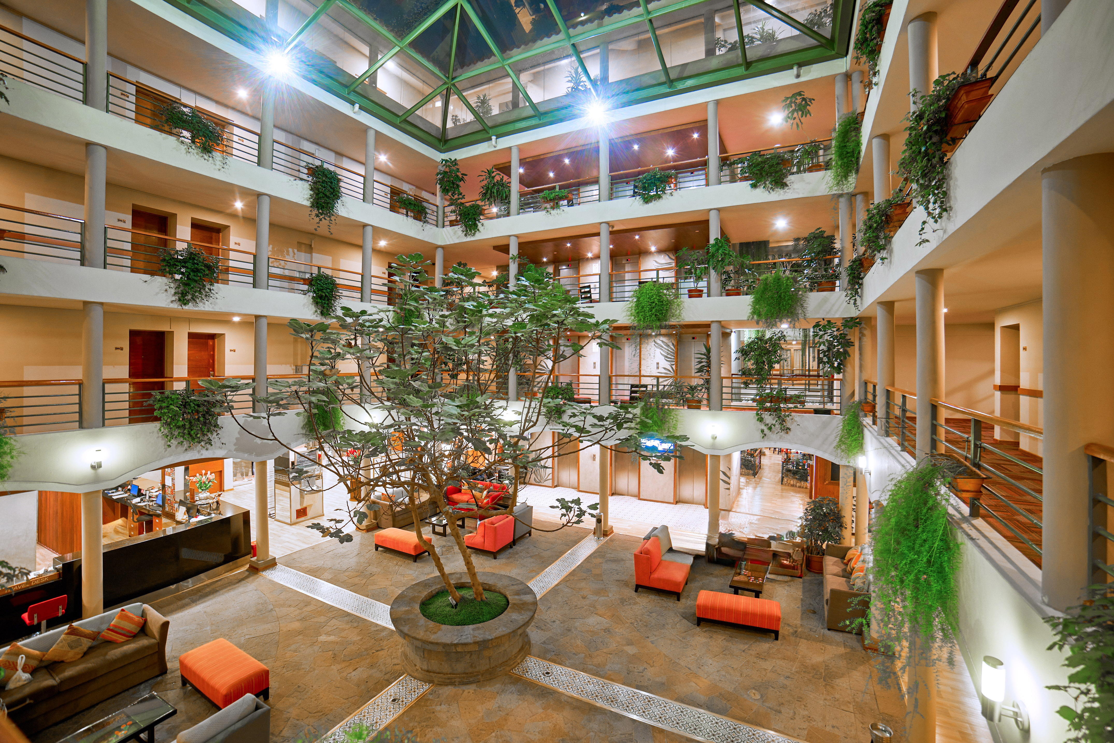 a large building with a tree in it