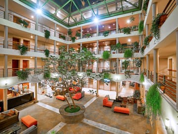 a large building with a tree in it