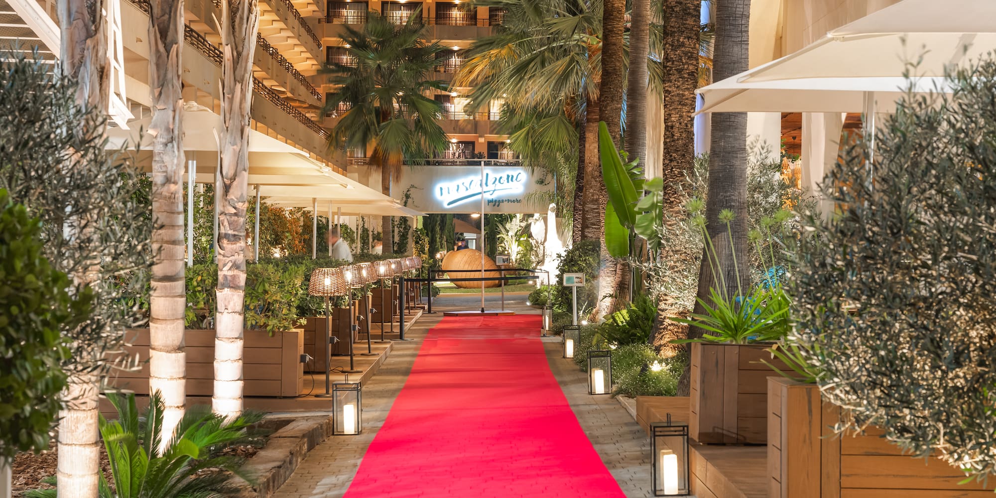 a red carpet on a walkway between palm trees