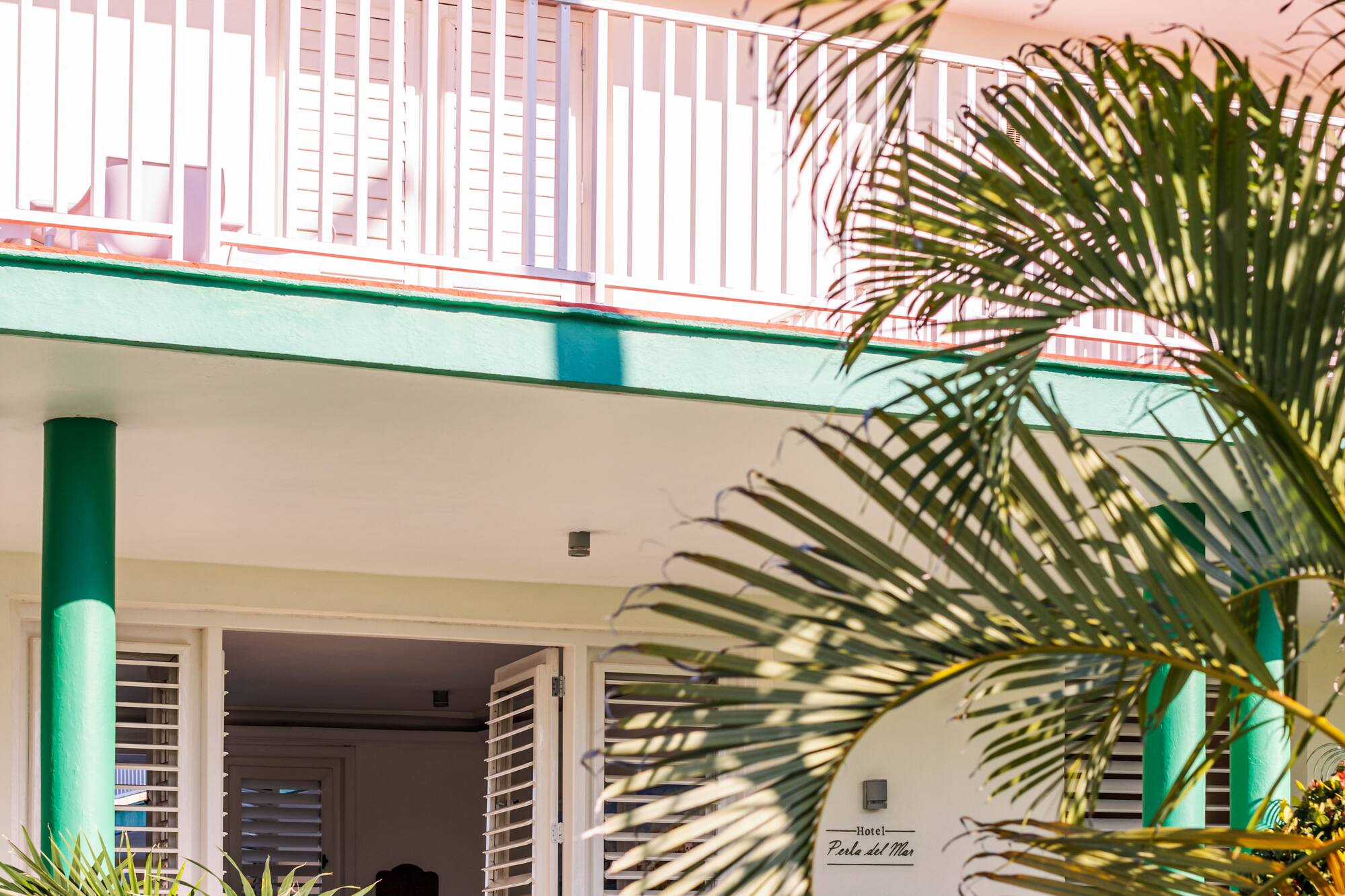 a house with palm trees